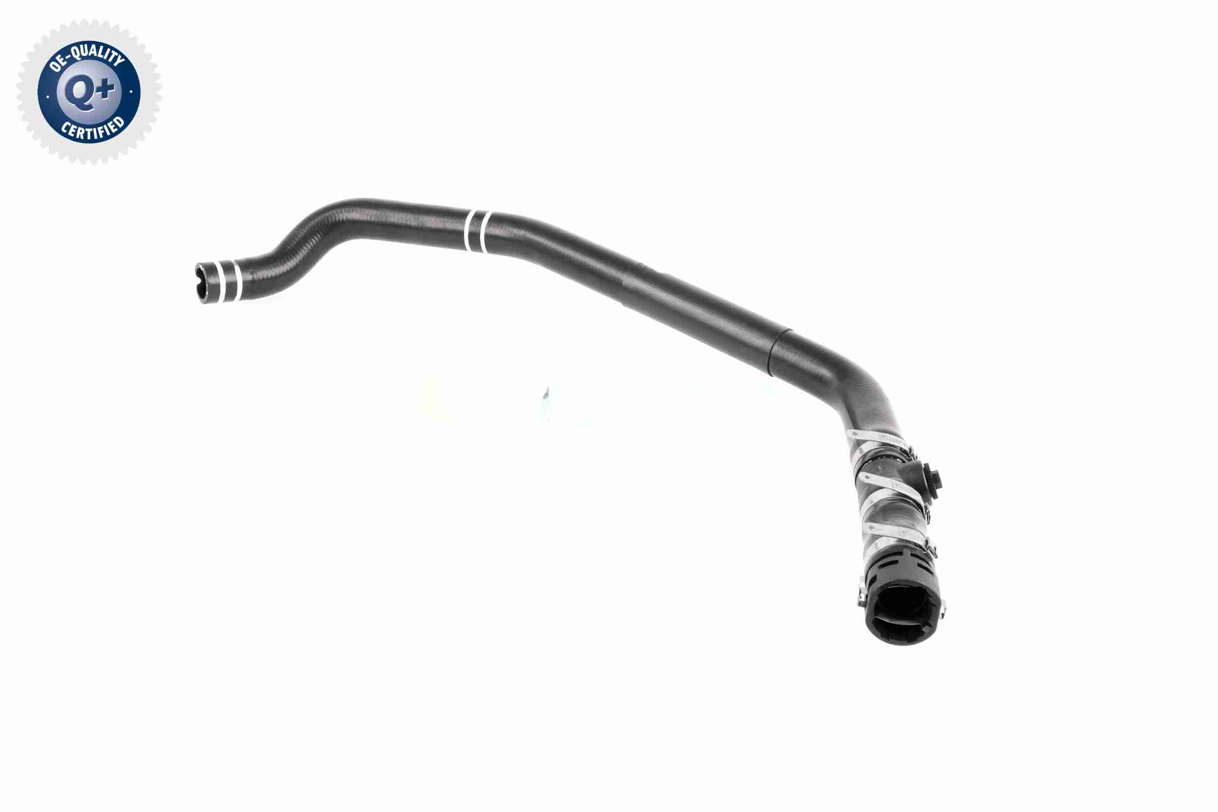 Vaico Slangen V24-0849