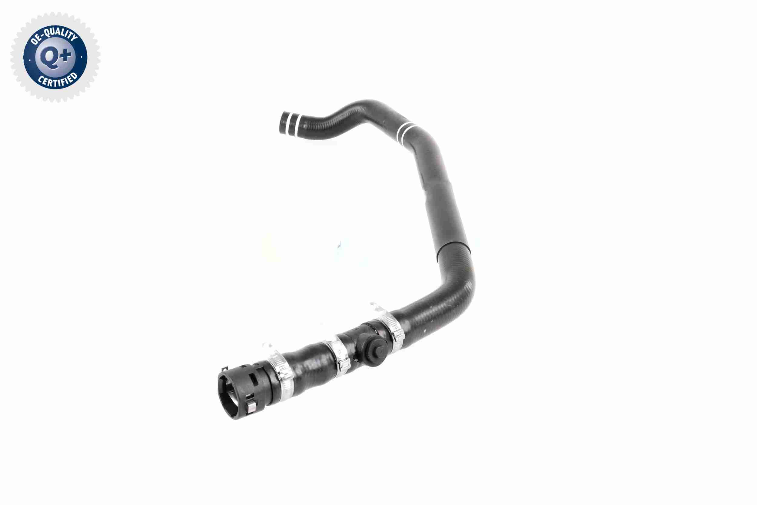 Vaico Slangen V24-0849