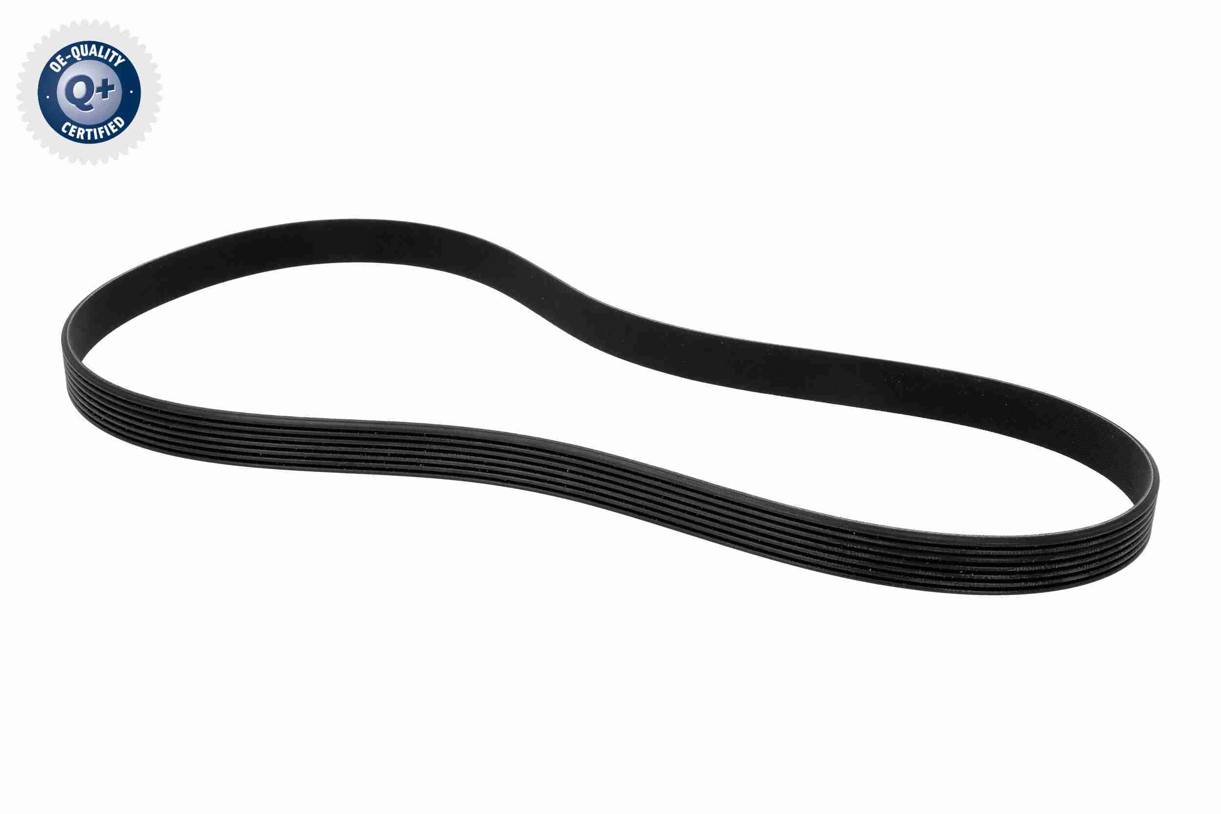 Vaico Poly V-riem V24-1209