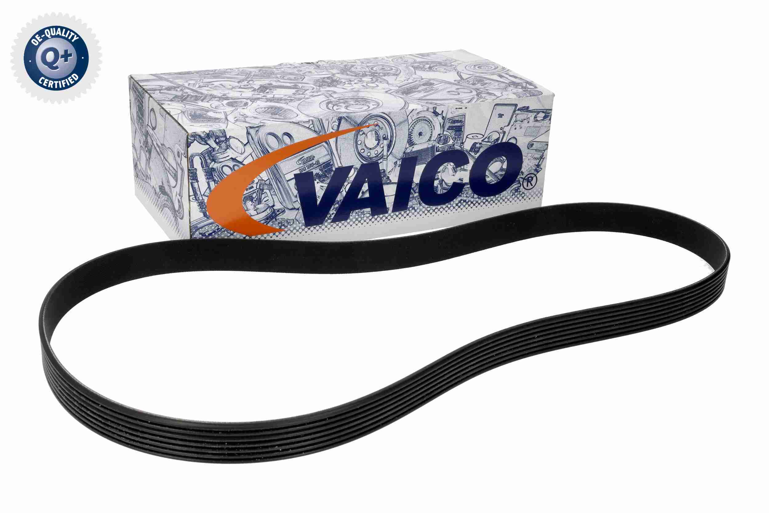 Vaico Poly V-riem V24-1209