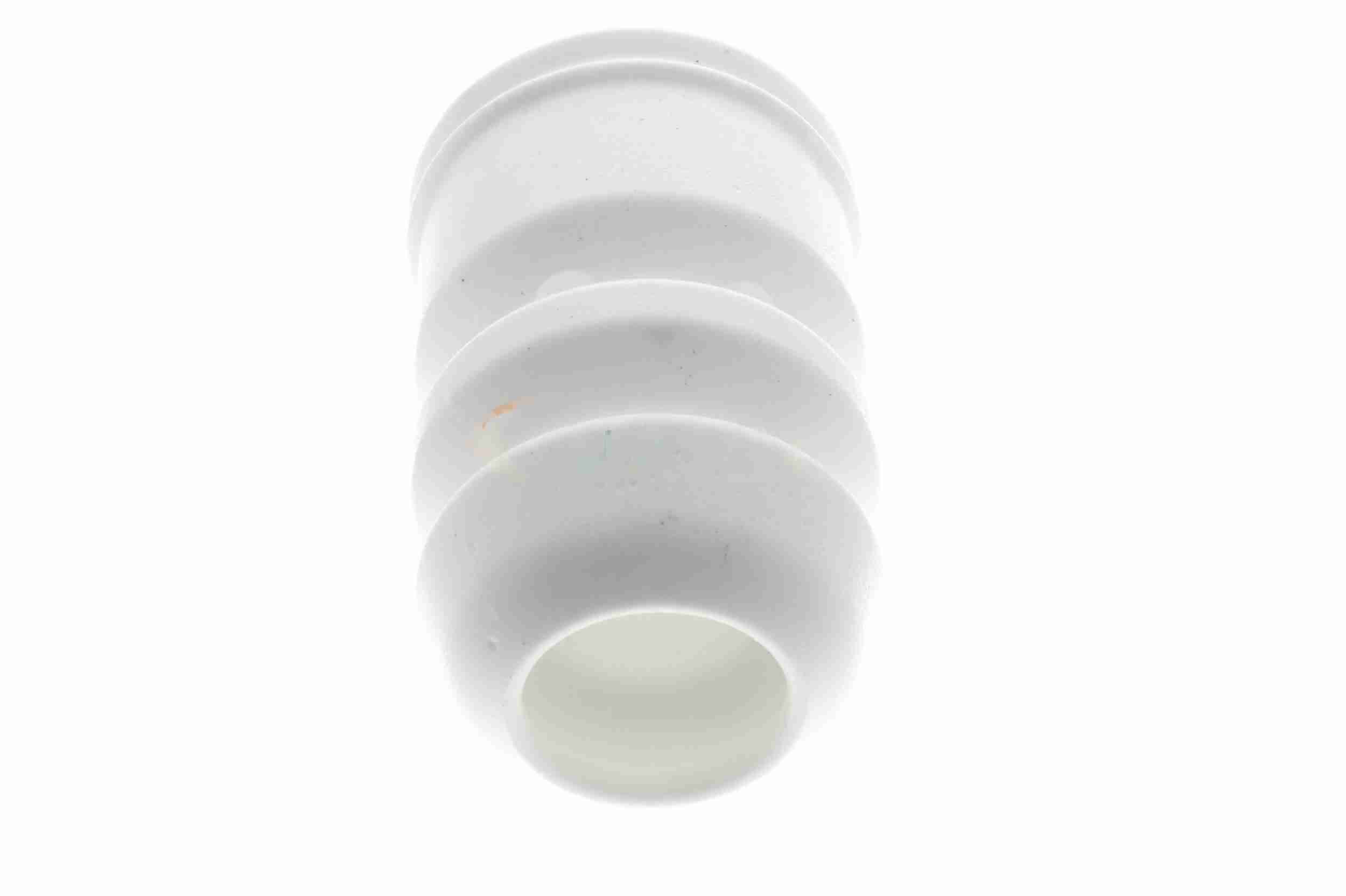 Vaico Aanslagrubber vering V25-0192