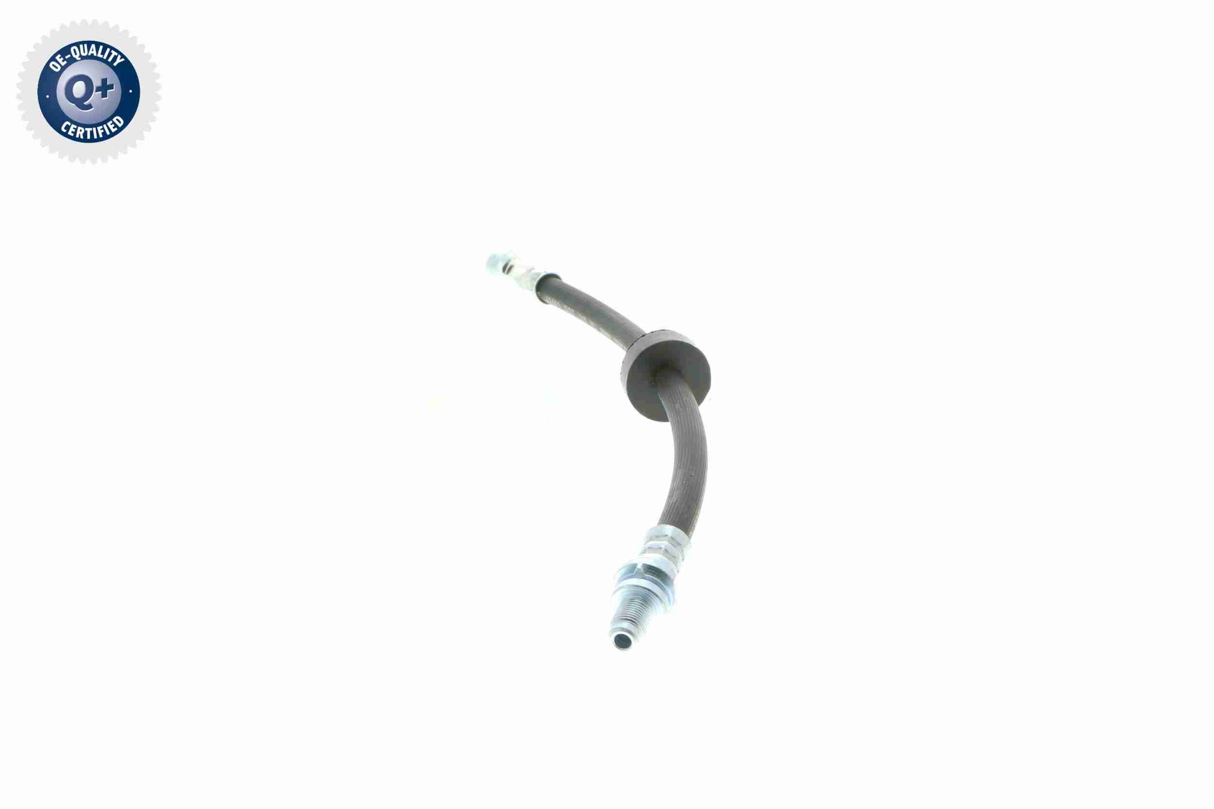 Vaico Remslang V25-0300