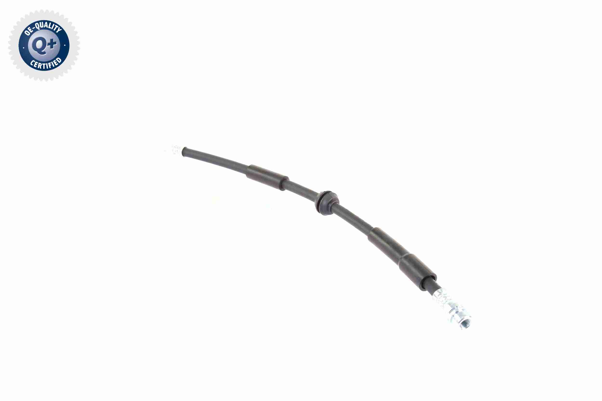 Vaico Remslang V25-0309