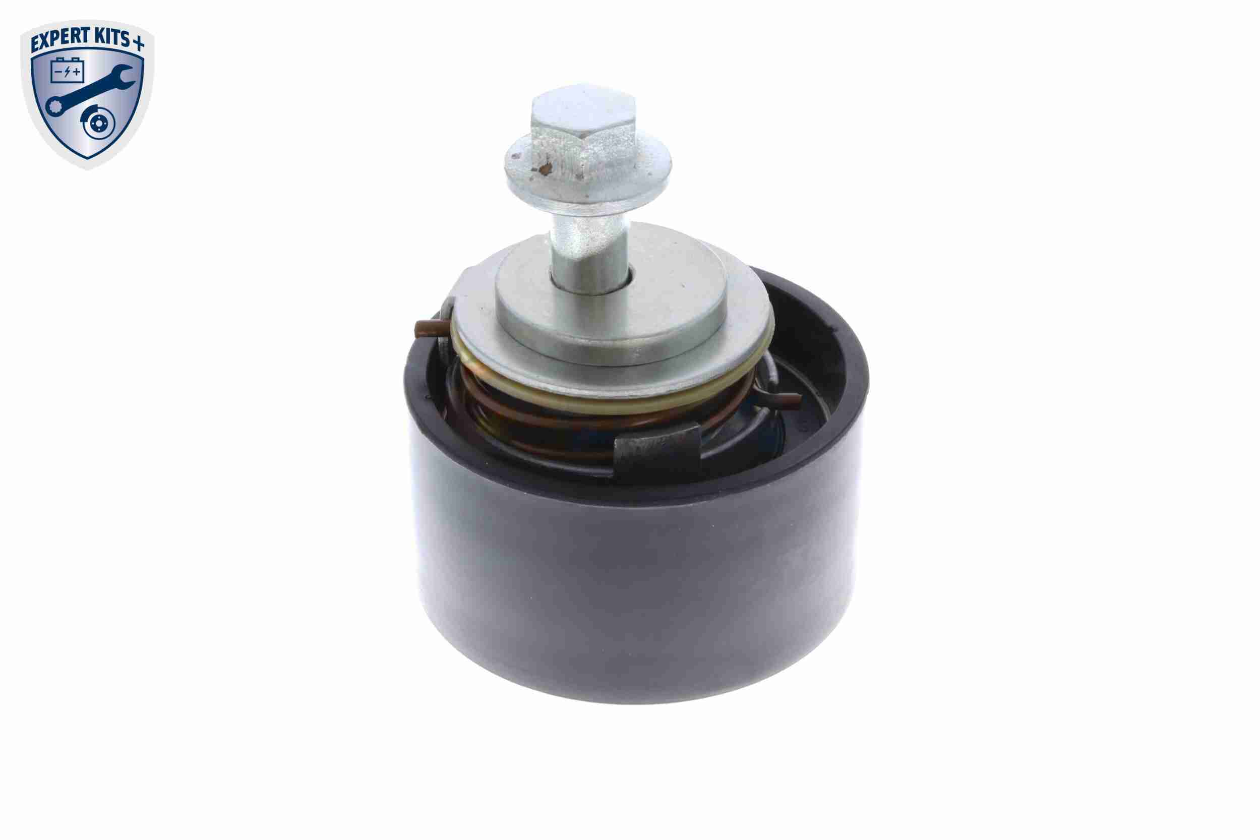 Vaico Spanrol distributieriem V25-0677