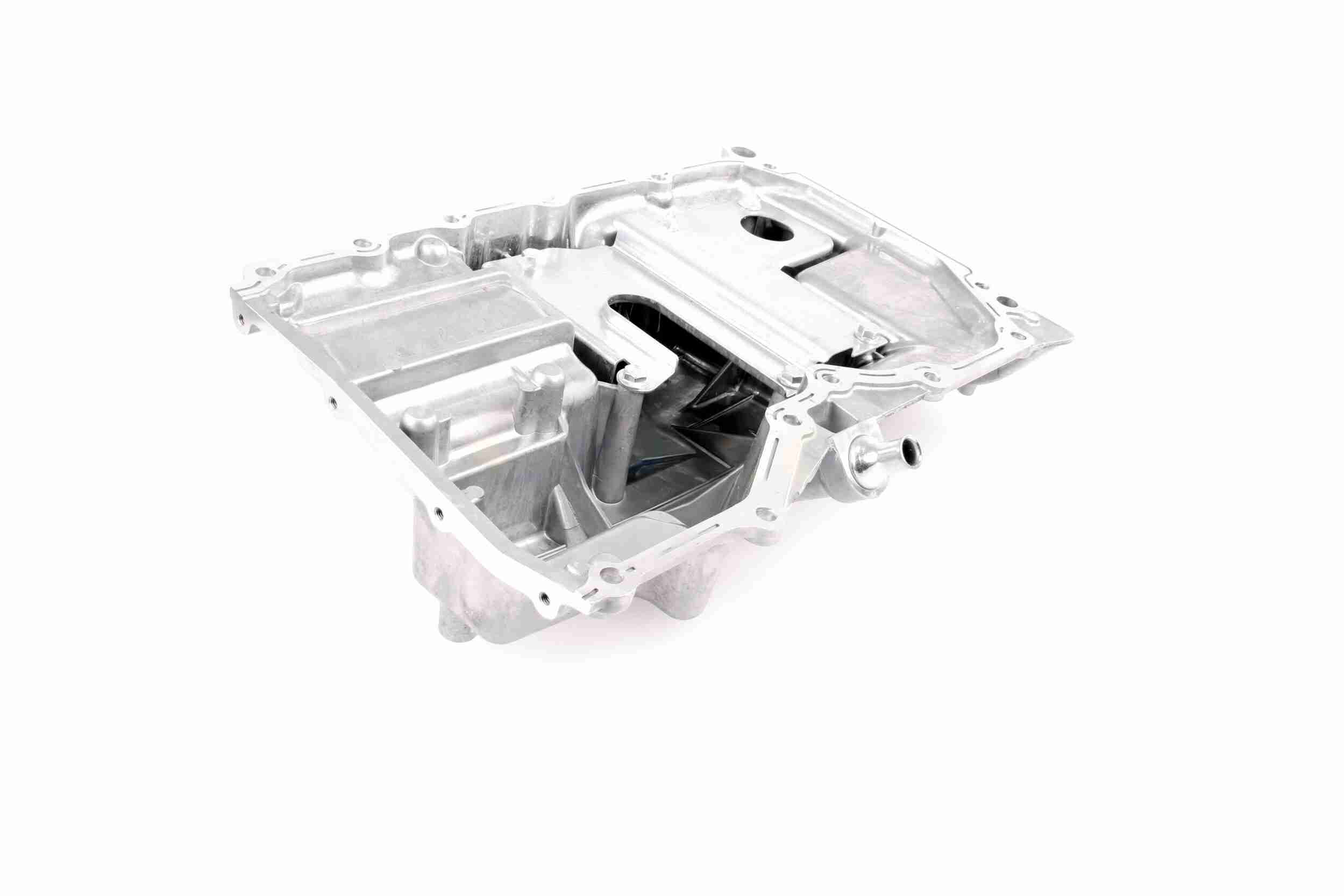 Vaico Carterpan V25-0689