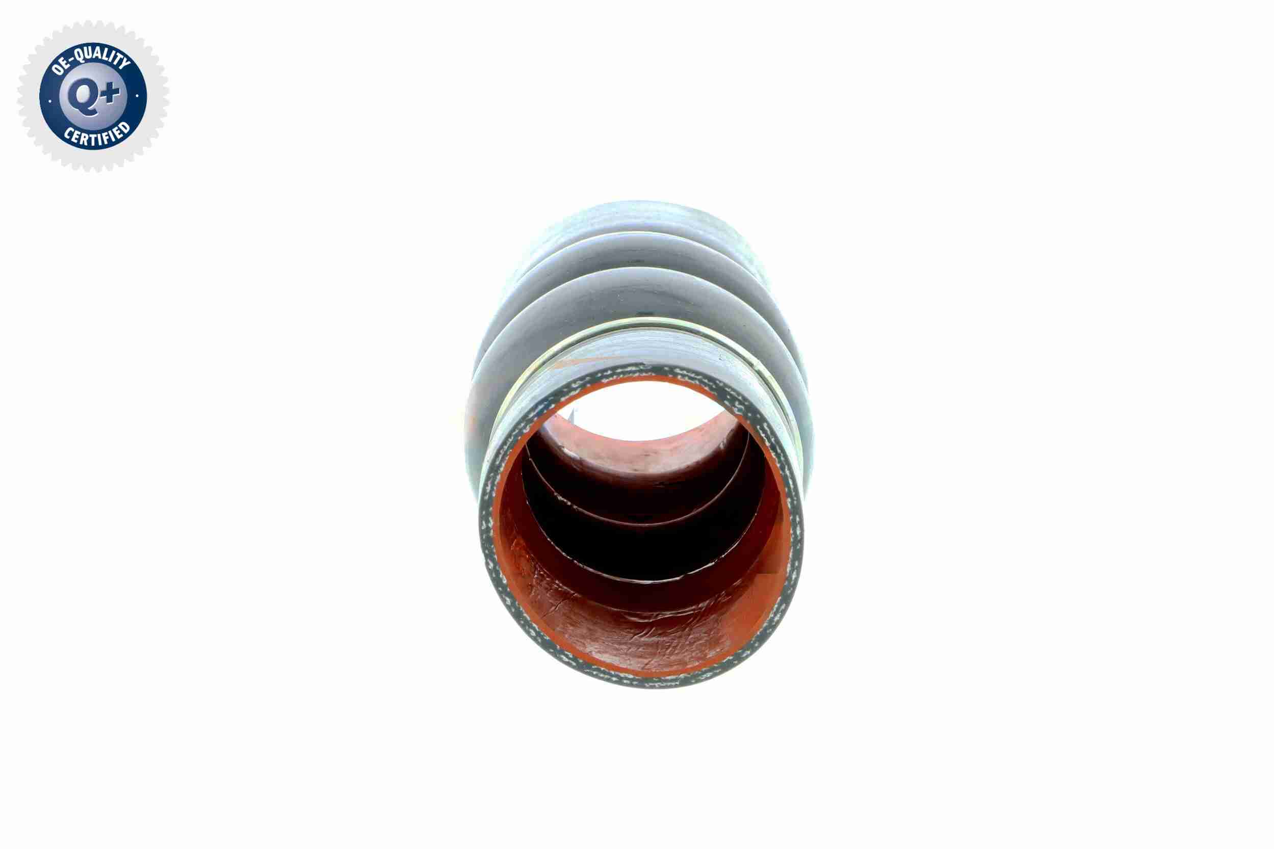 Vaico Laadlucht-/turboslang V25-0949