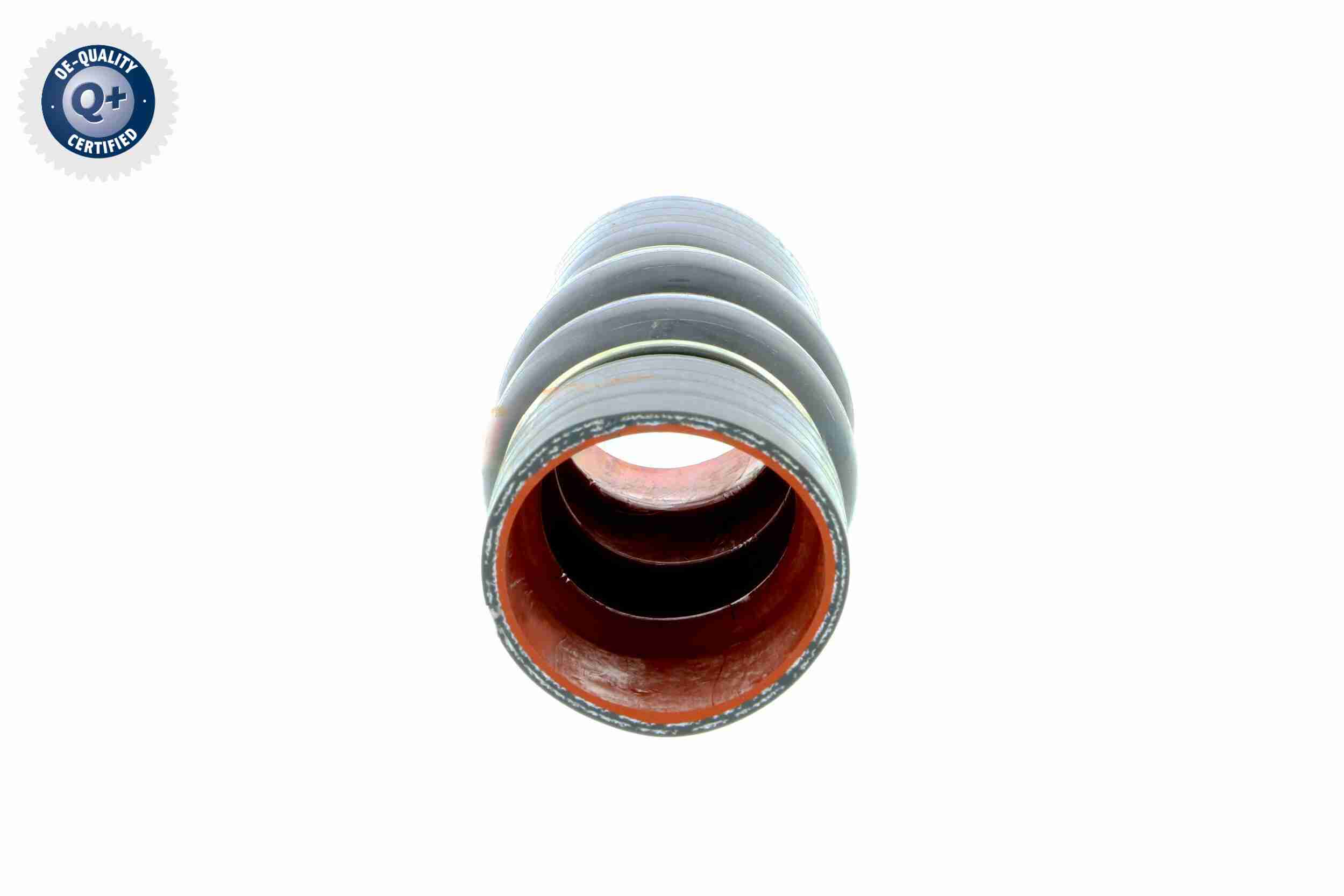 Vaico Laadlucht-/turboslang V25-0949