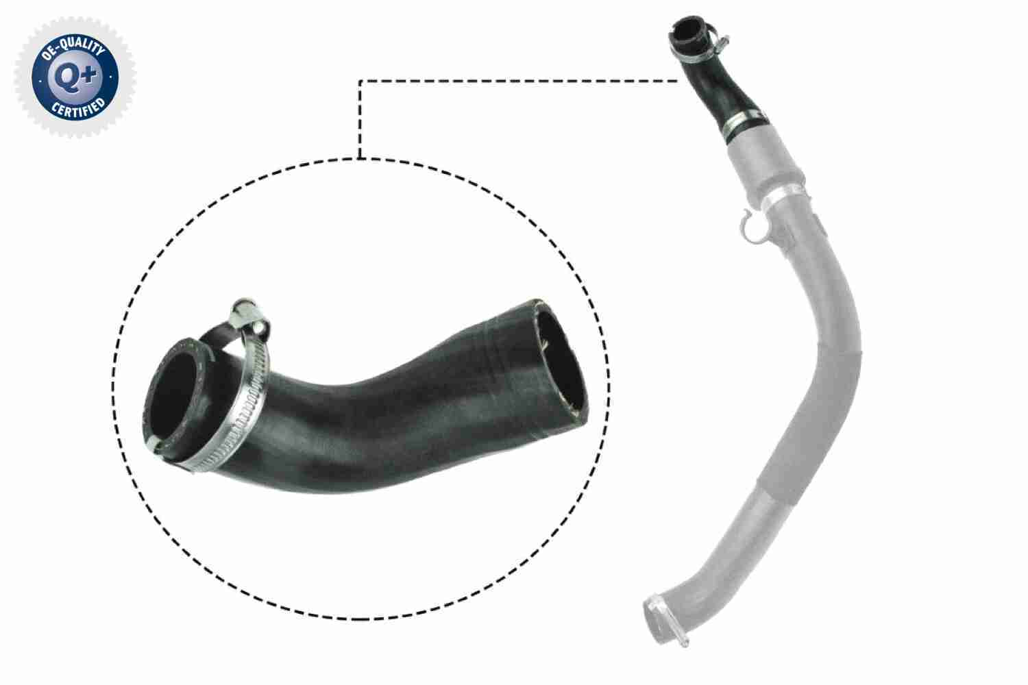 Laadlucht-/turboslang Vaico V25-1044