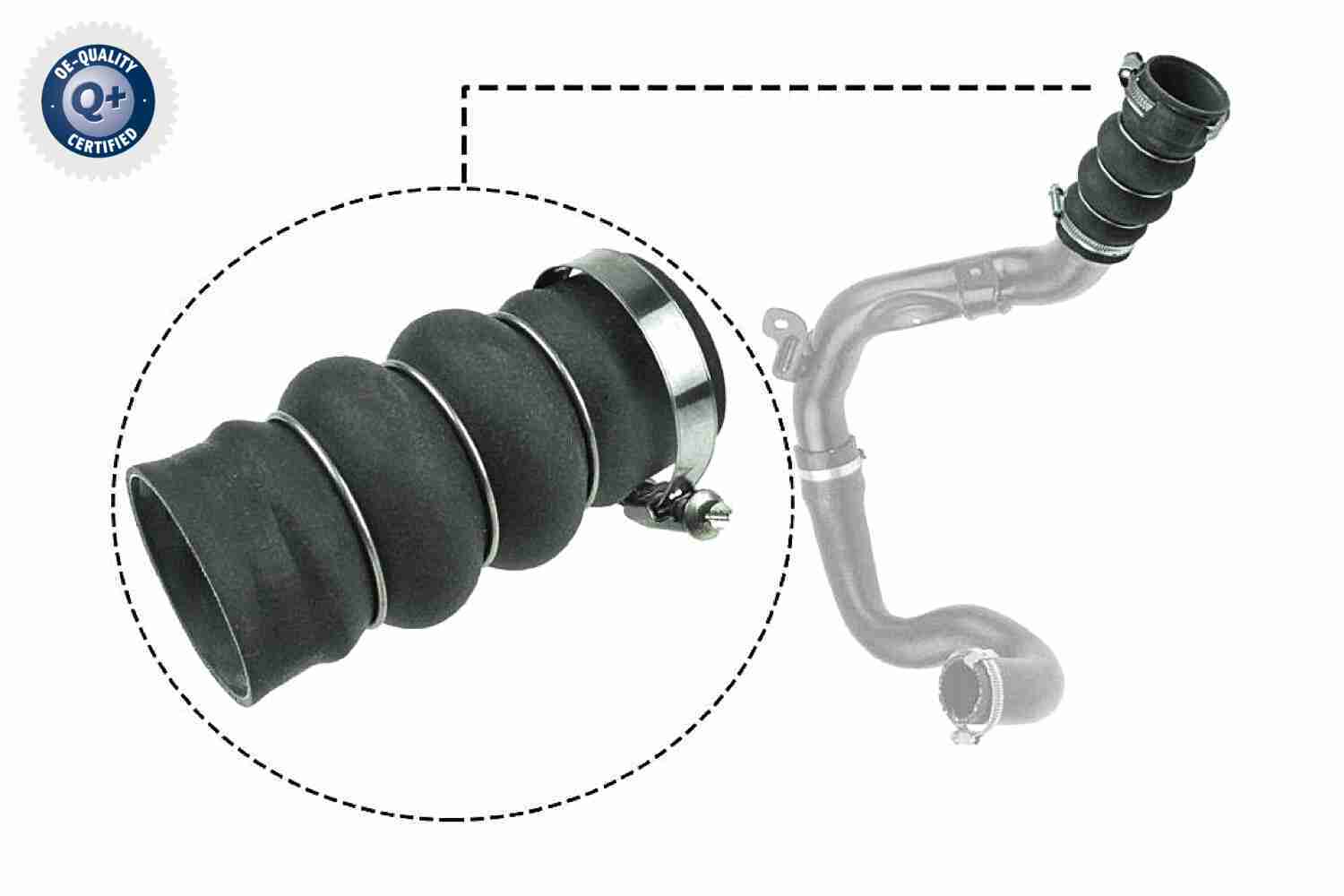 Vaico Laadlucht-/turboslang V25-1052
