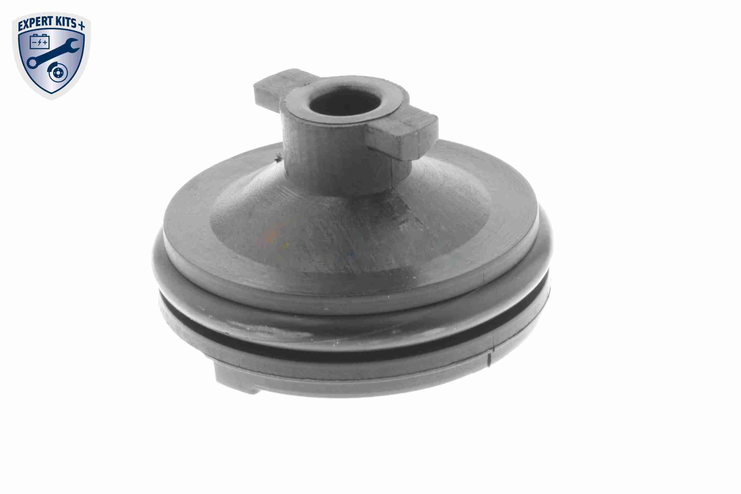 Vaico Olie aftapplug / carterplug V25-1116