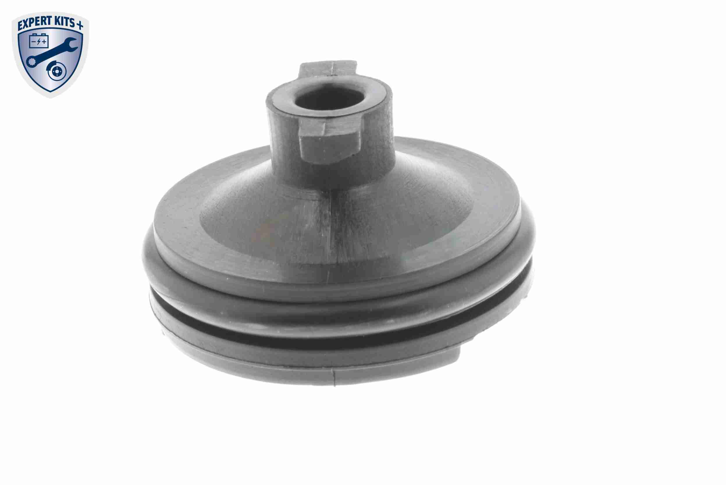 Vaico Olie aftapplug / carterplug V25-1116