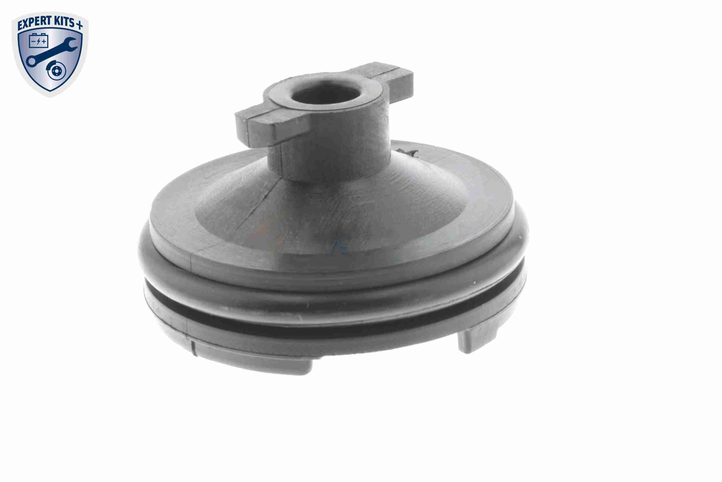 Vaico Olie aftapplug / carterplug V25-1116