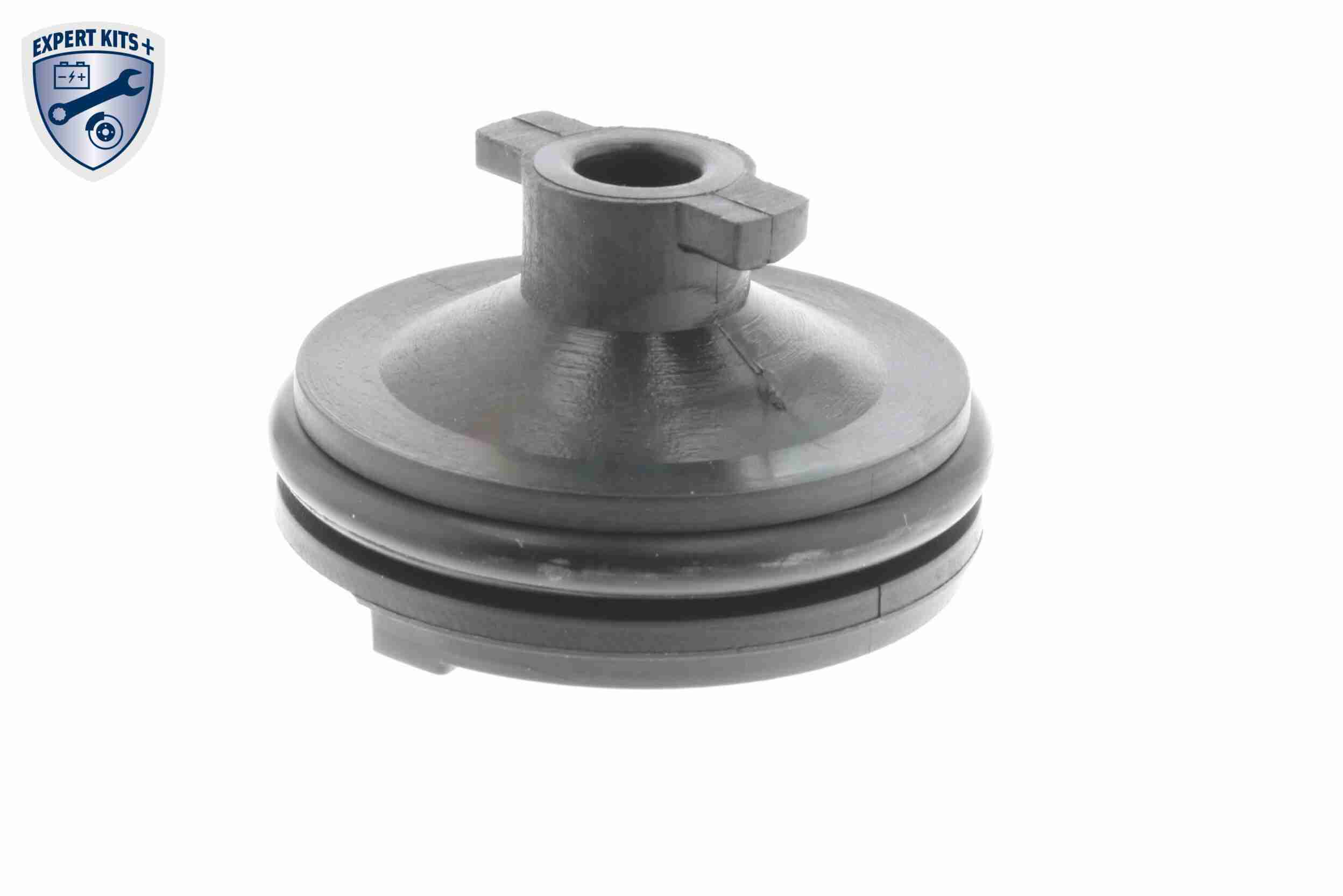 Vaico Olie aftapplug / carterplug V25-1116