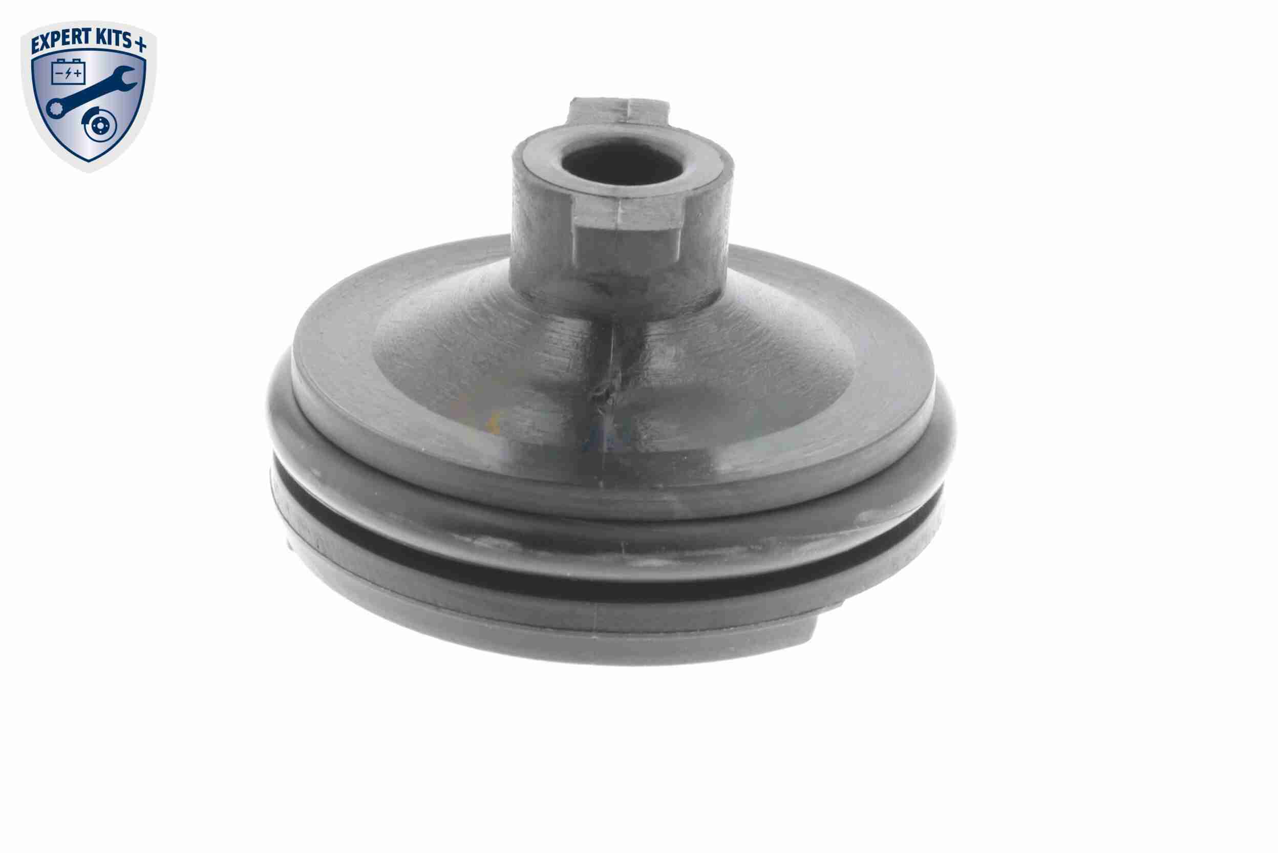 Vaico Olie aftapplug / carterplug V25-1116