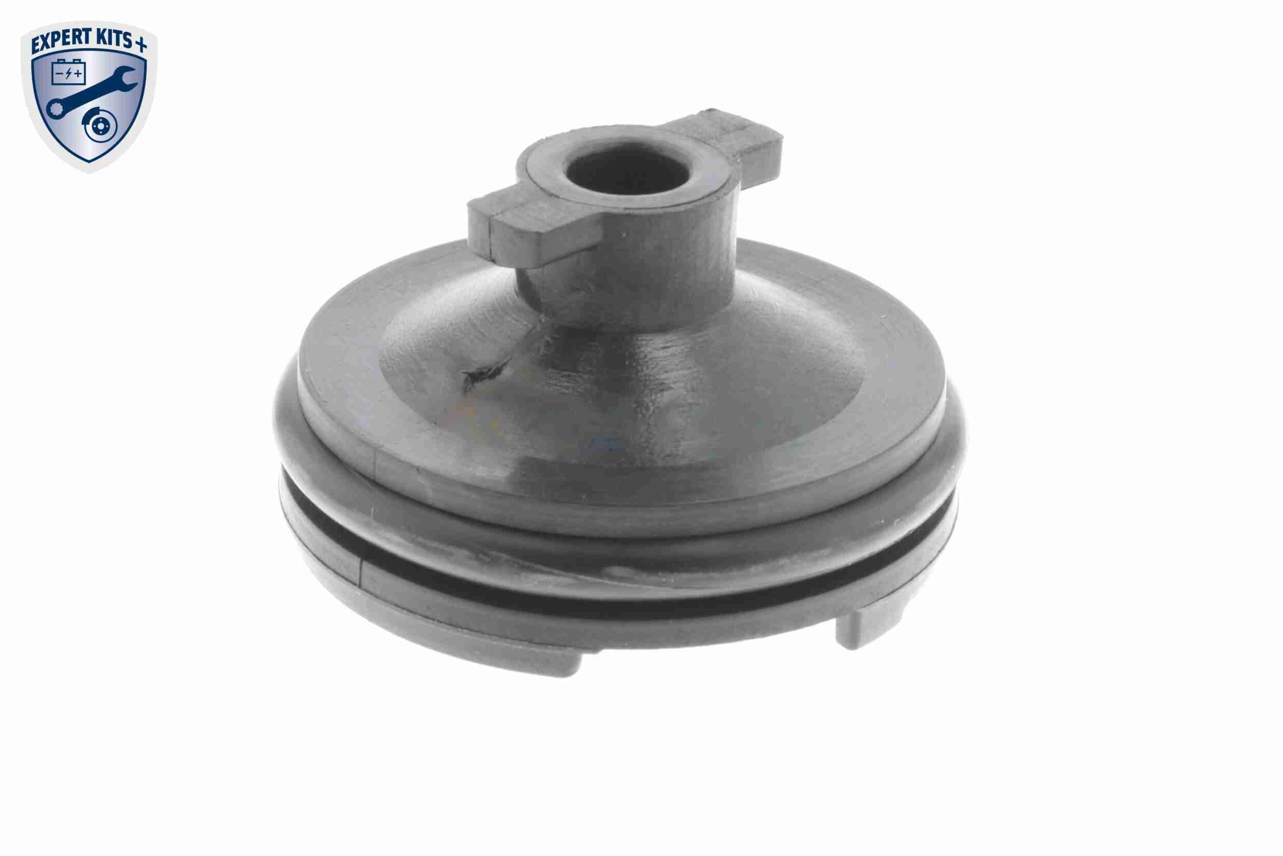 Vaico Olie aftapplug / carterplug V25-1116