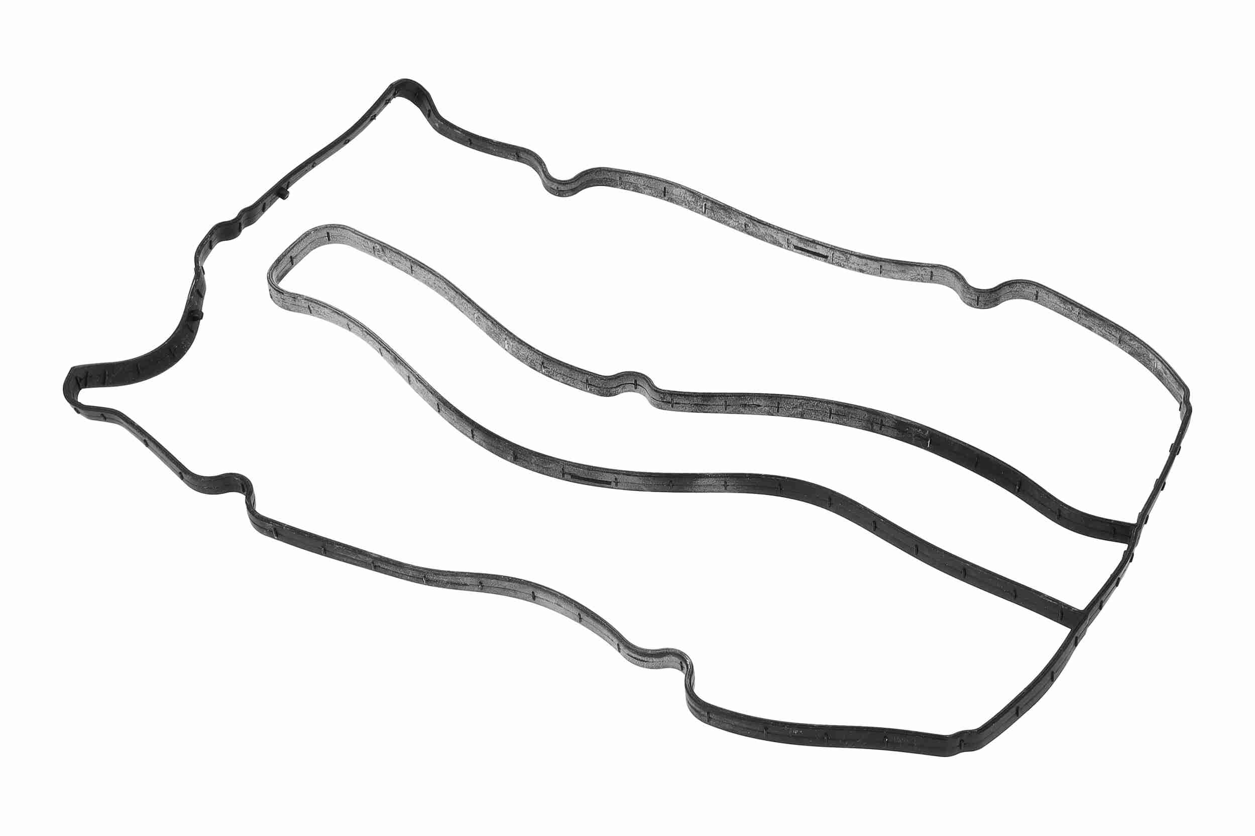 Vaico Kleppendekselpakking V25-2123