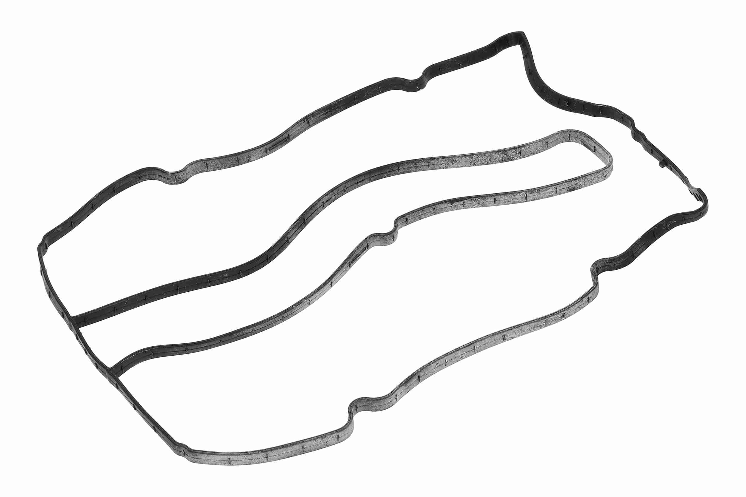 Vaico Kleppendekselpakking V25-2123