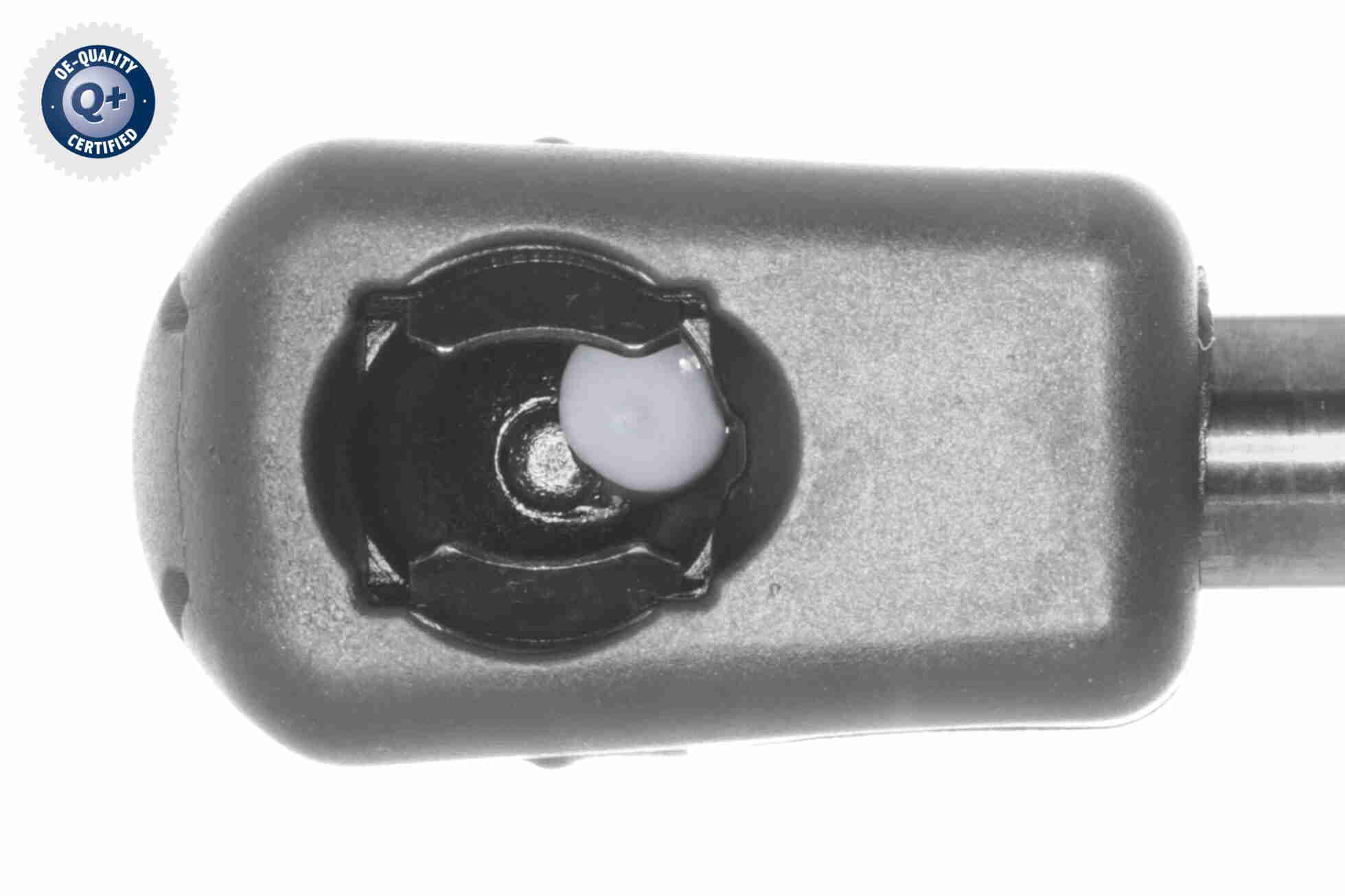 Vaico Gasveer, kofferruimte V25-2837