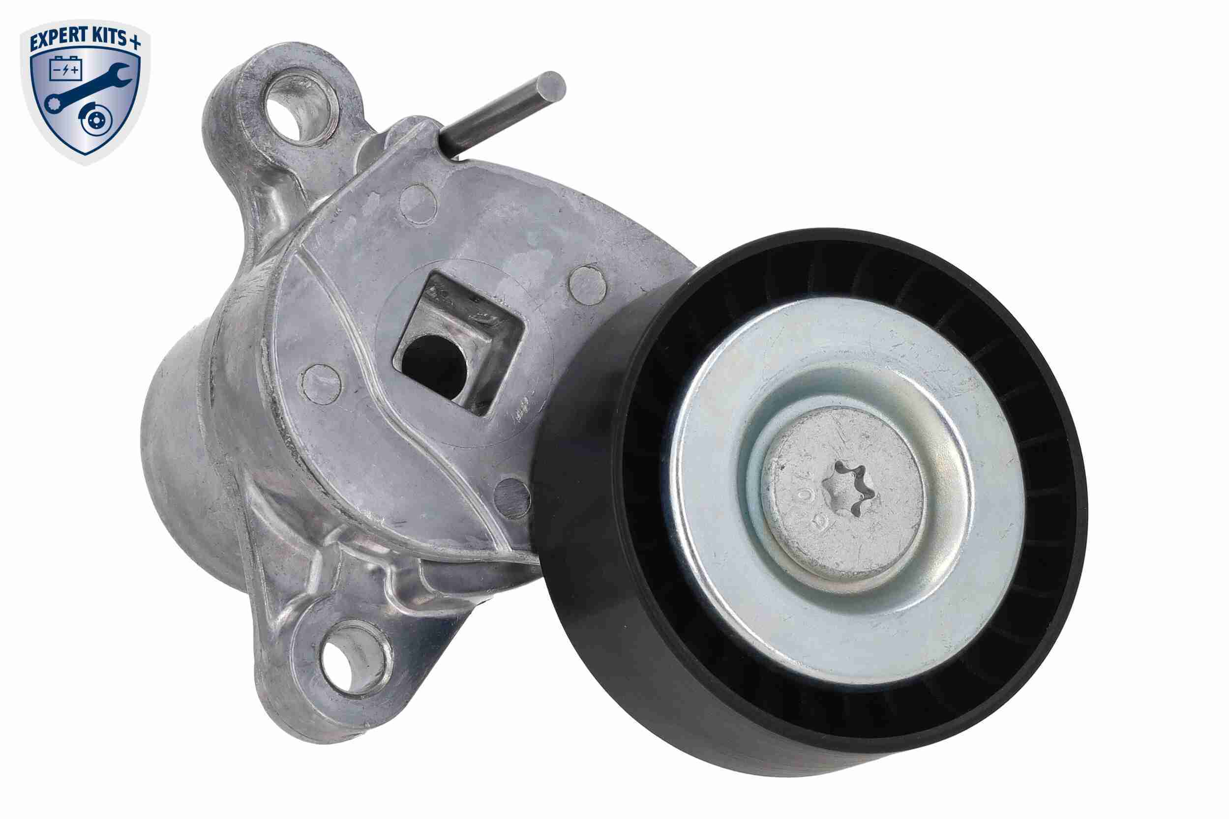 Vaico Waterpomp + distributieriem set V25-3148