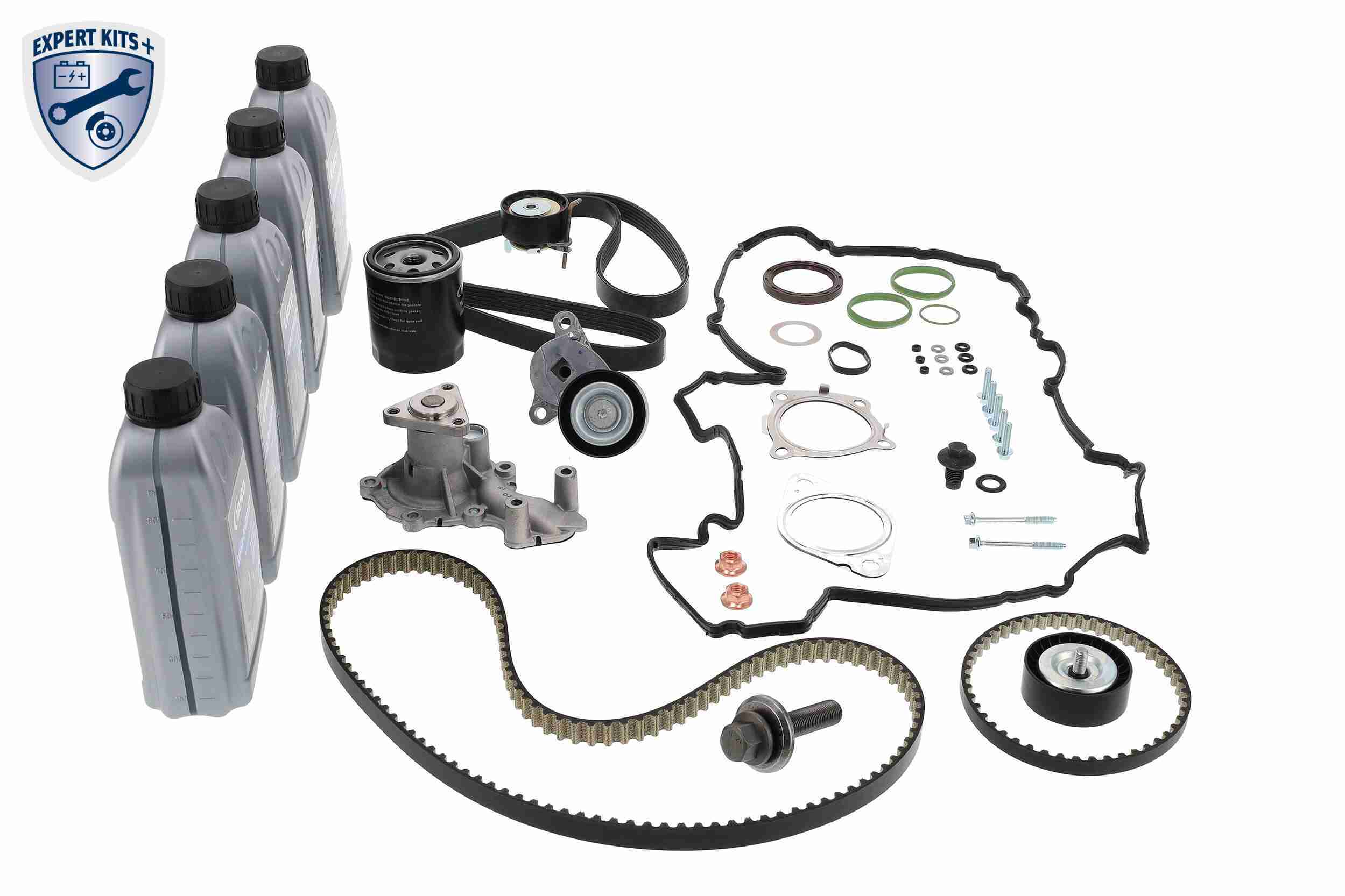 Vaico Waterpomp + distributieriem set V25-3148