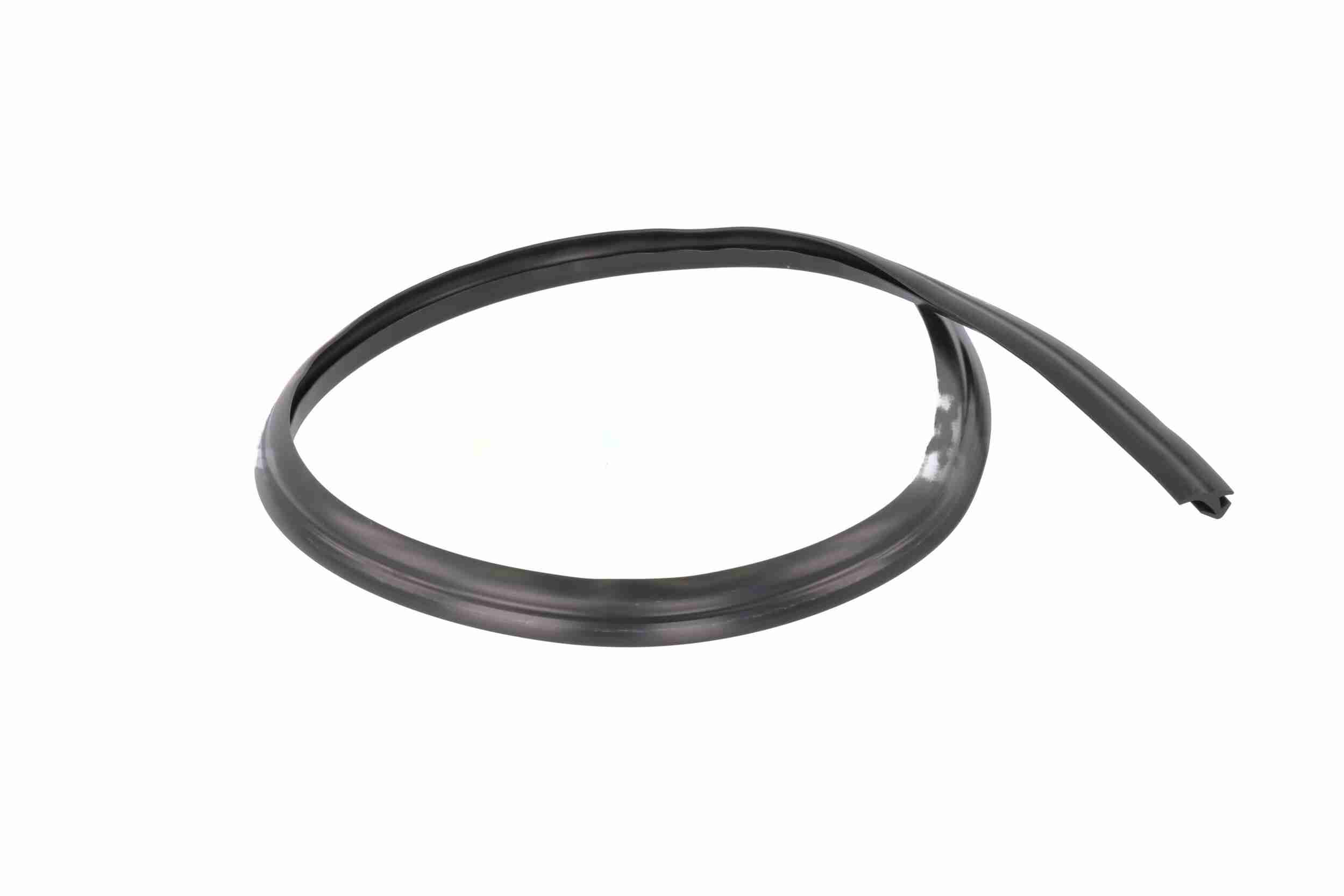 Vaico Afdichting voorruit V25-9701