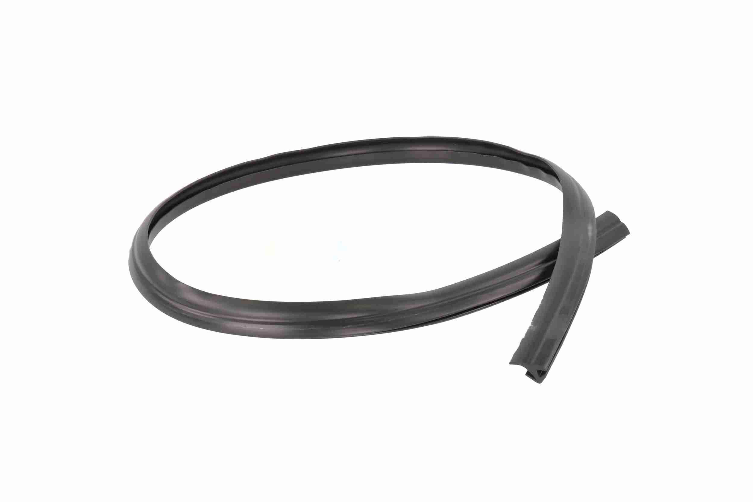 Vaico Afdichting voorruit V25-9701