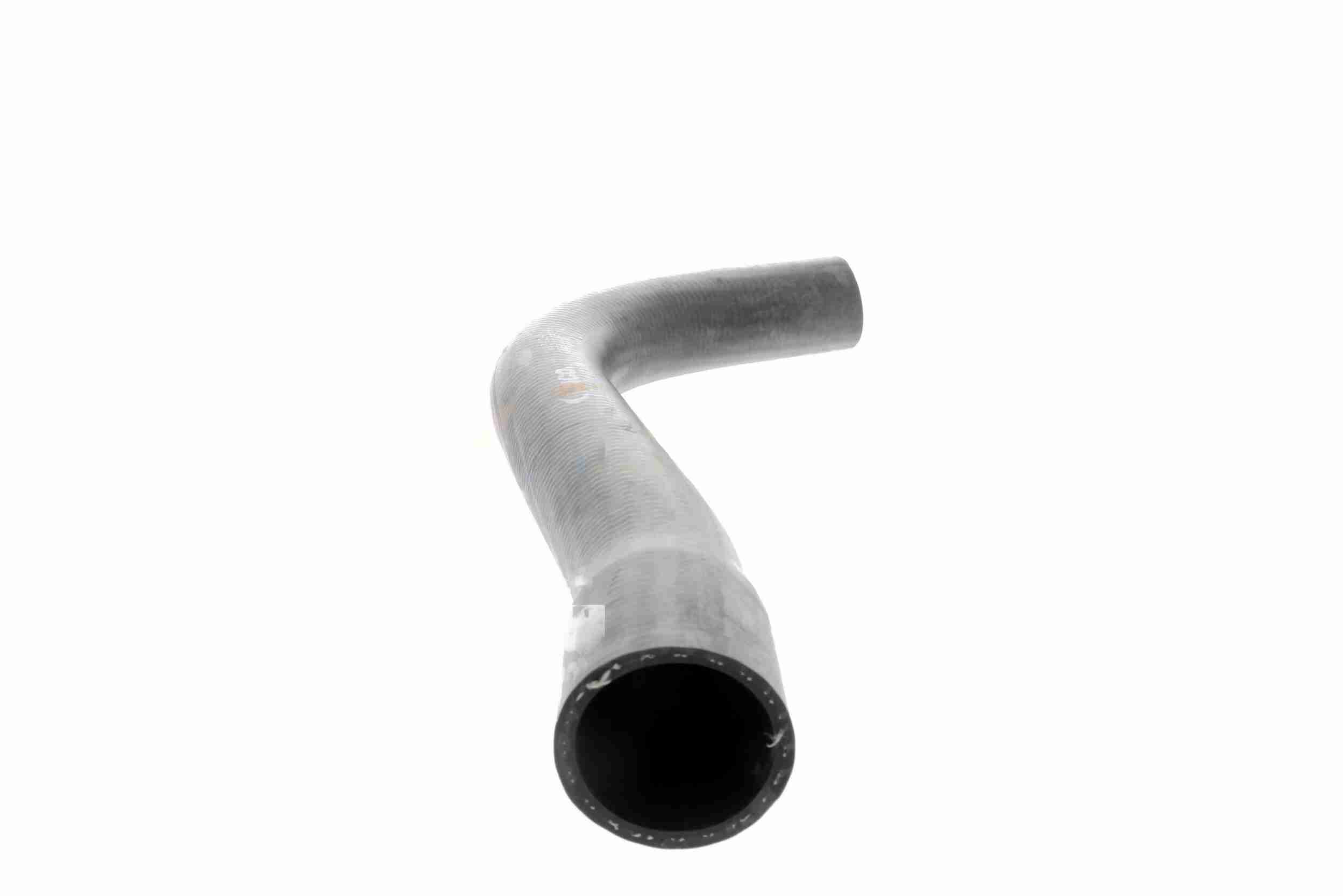 Vaico Radiateurslang V30-0241