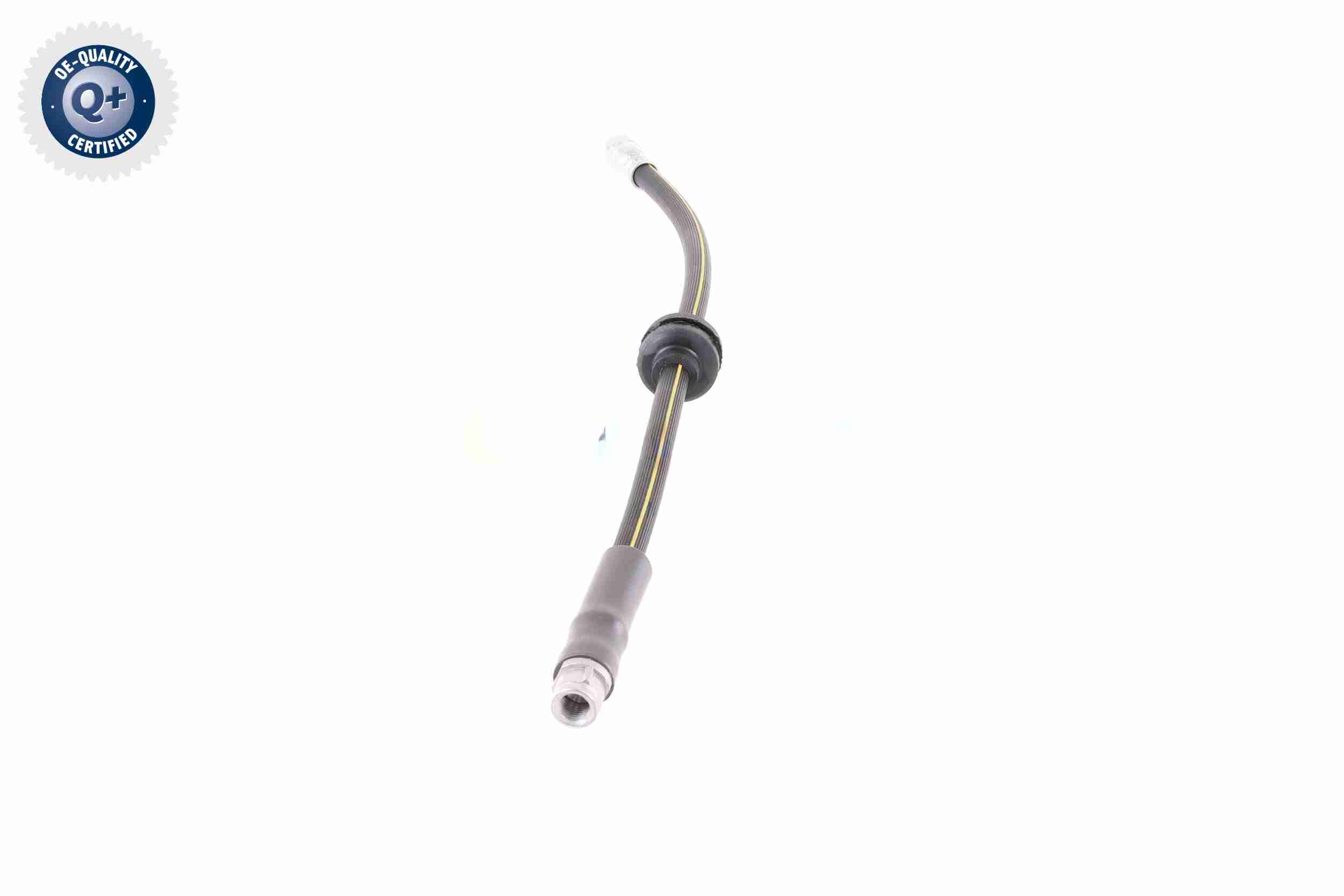 Vaico Remslang V30-0613