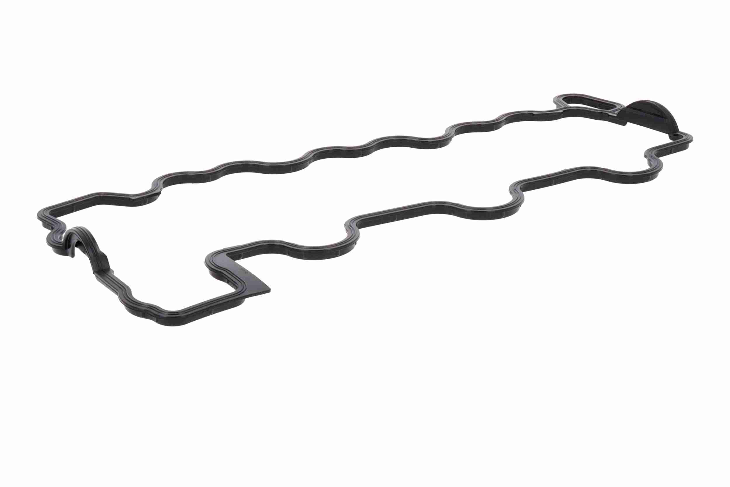 Vaico Kleppendekselpakking V30-1107