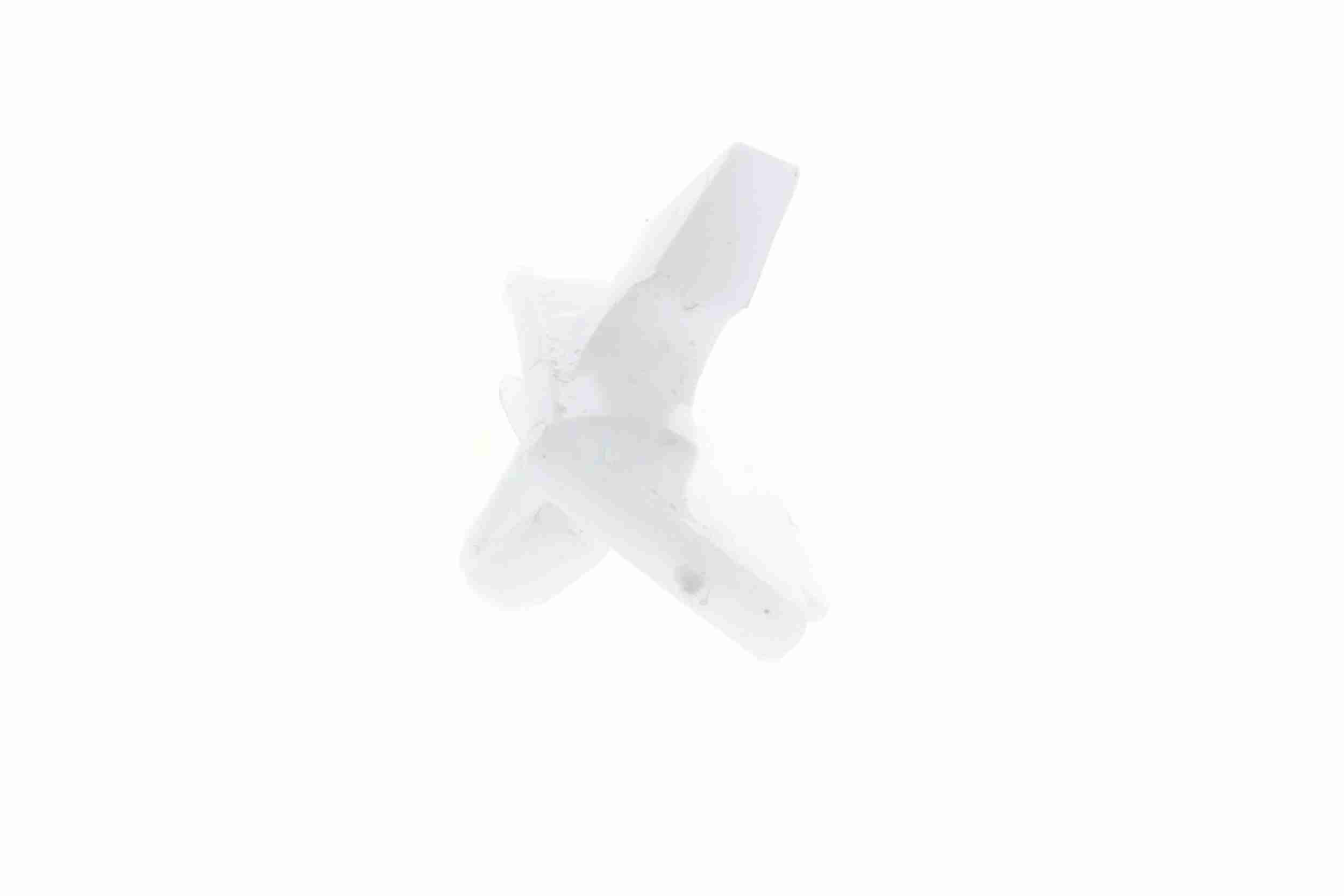 Vaico Bevestigingsclip voor sier- en beschermingslijst V30-1423