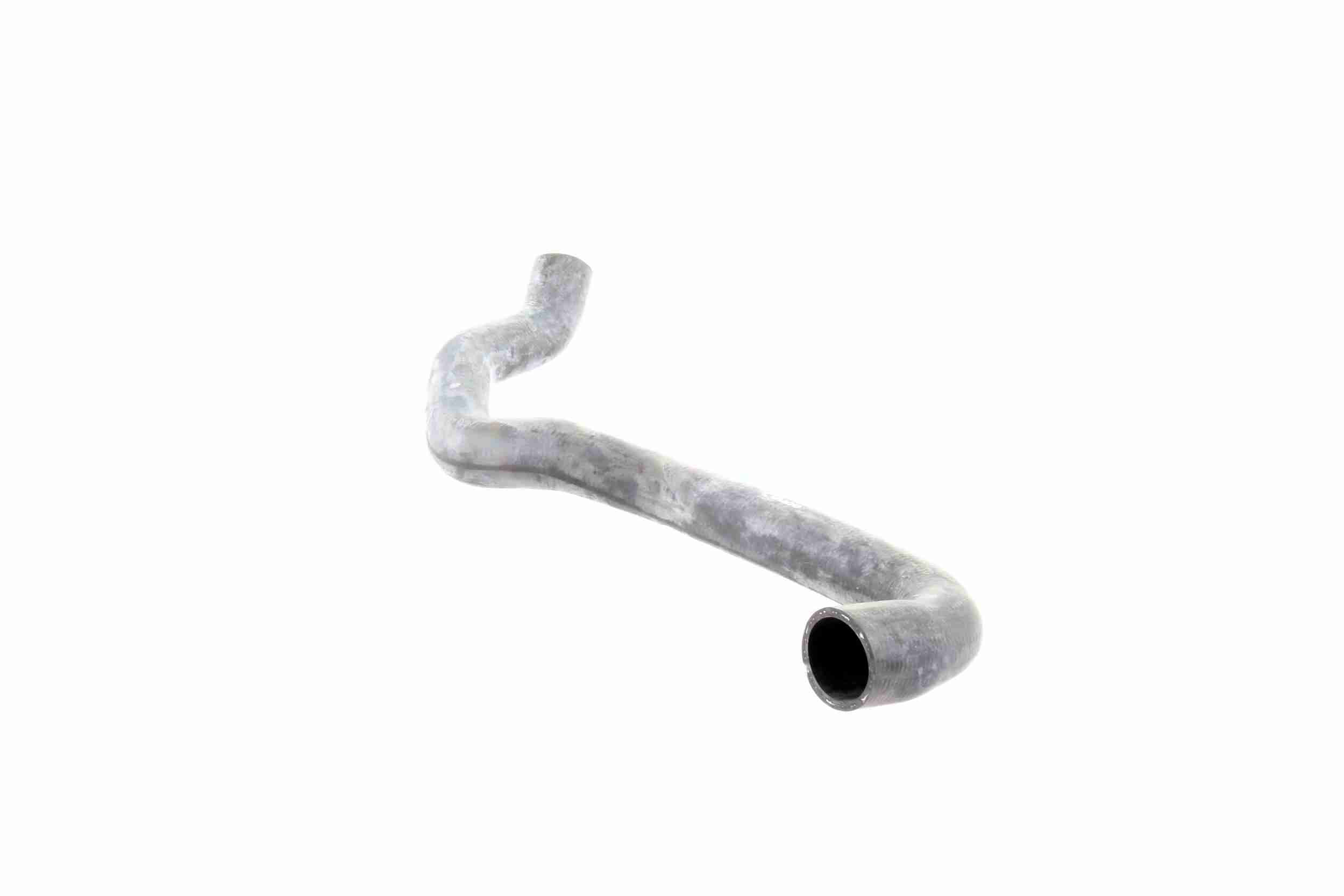 Vaico Radiateurslang V30-1576