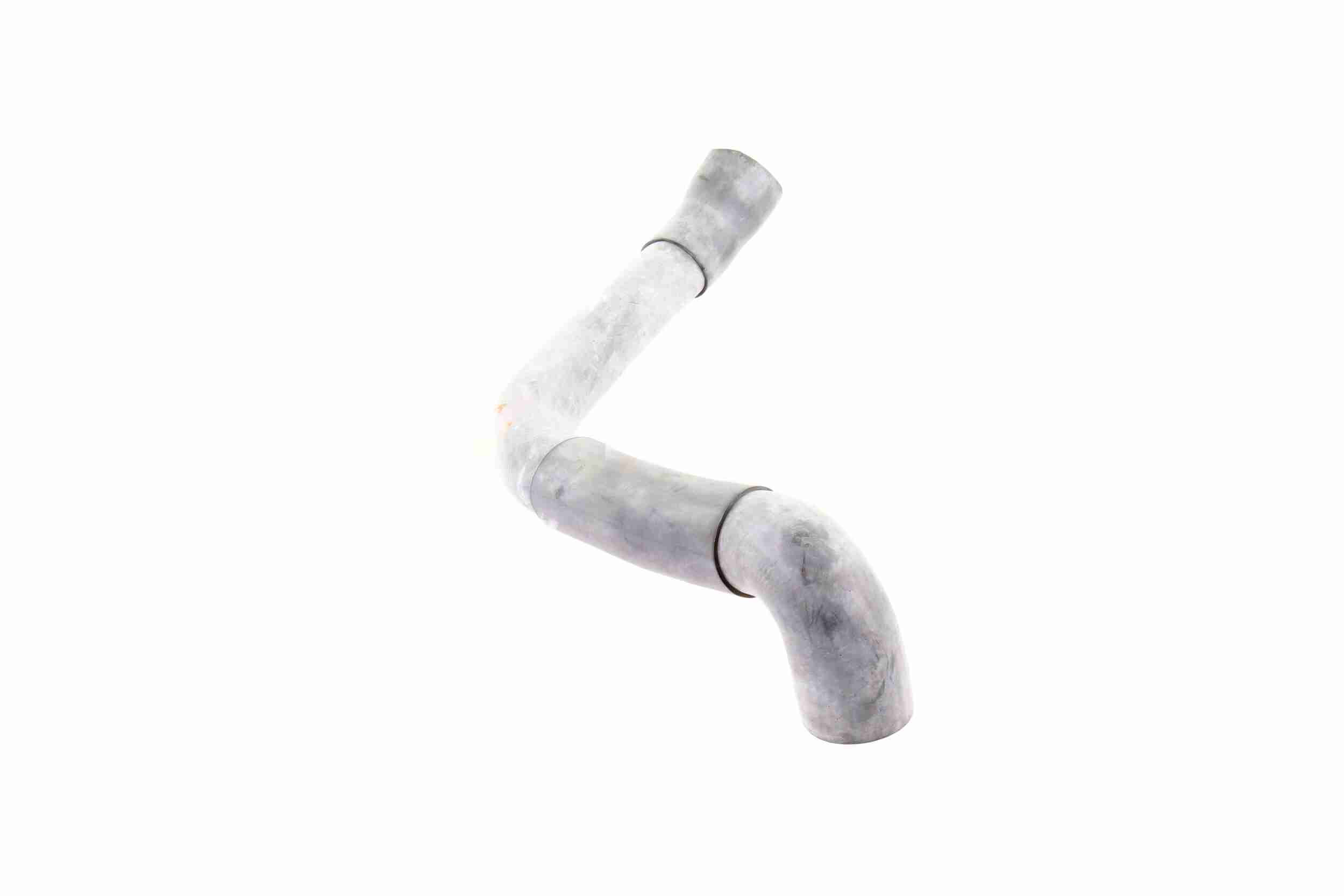 Vaico Radiateurslang V30-1621