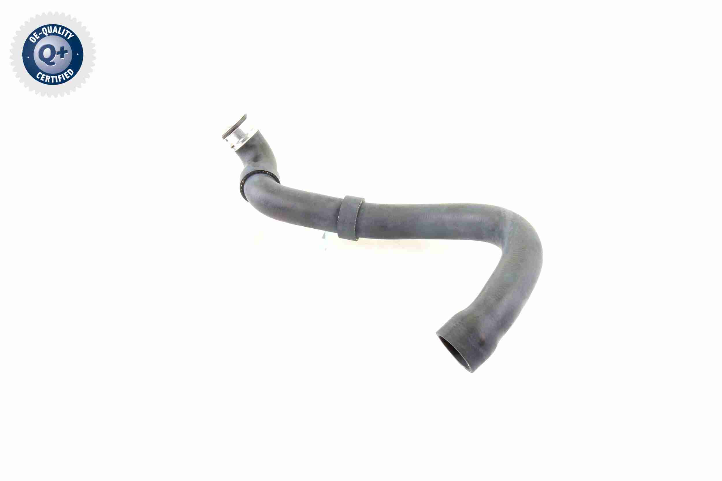 Vaico Radiateurslang V30-1661