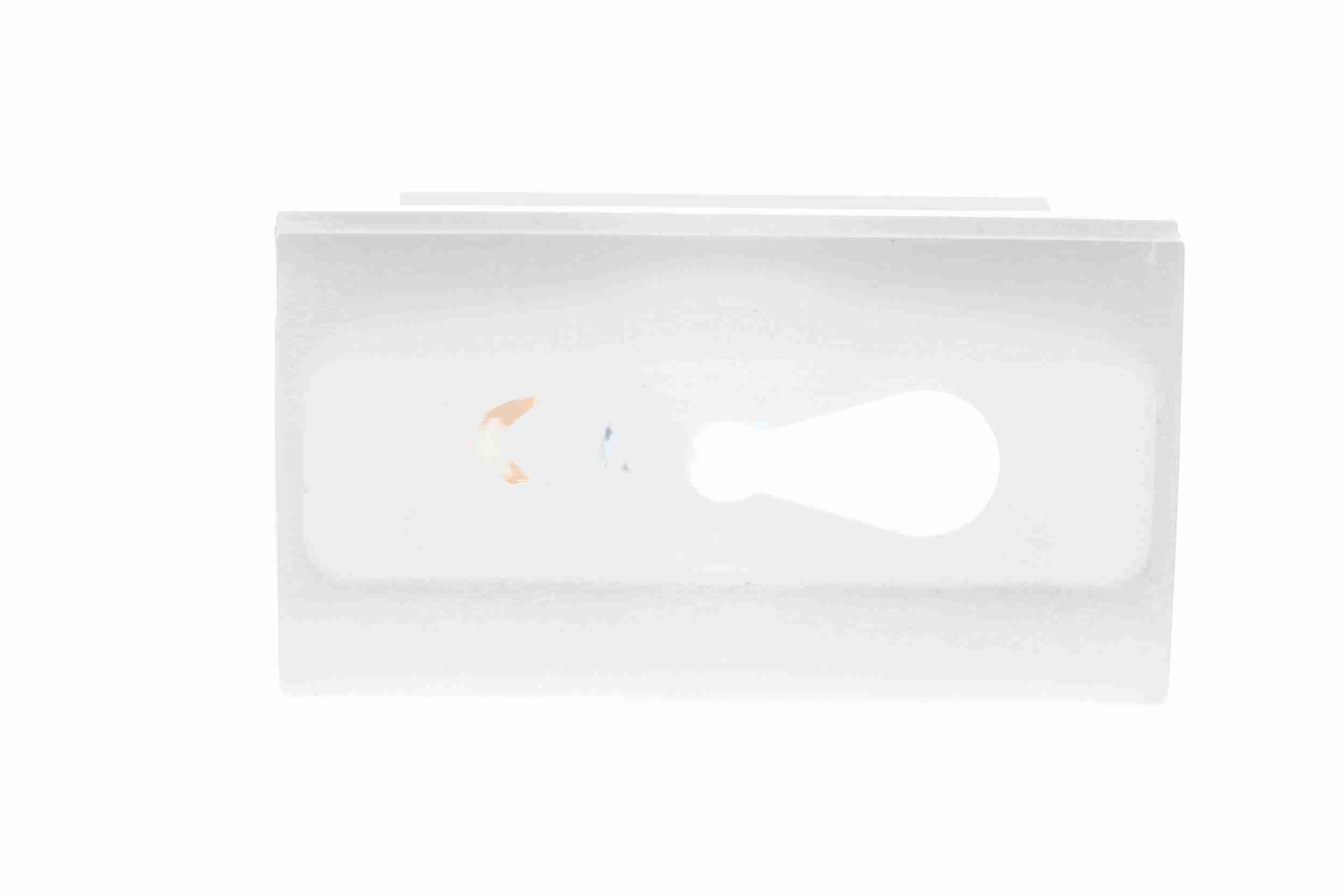 Vaico Bevestigingsclip voor sier- en beschermingslijst V30-1982