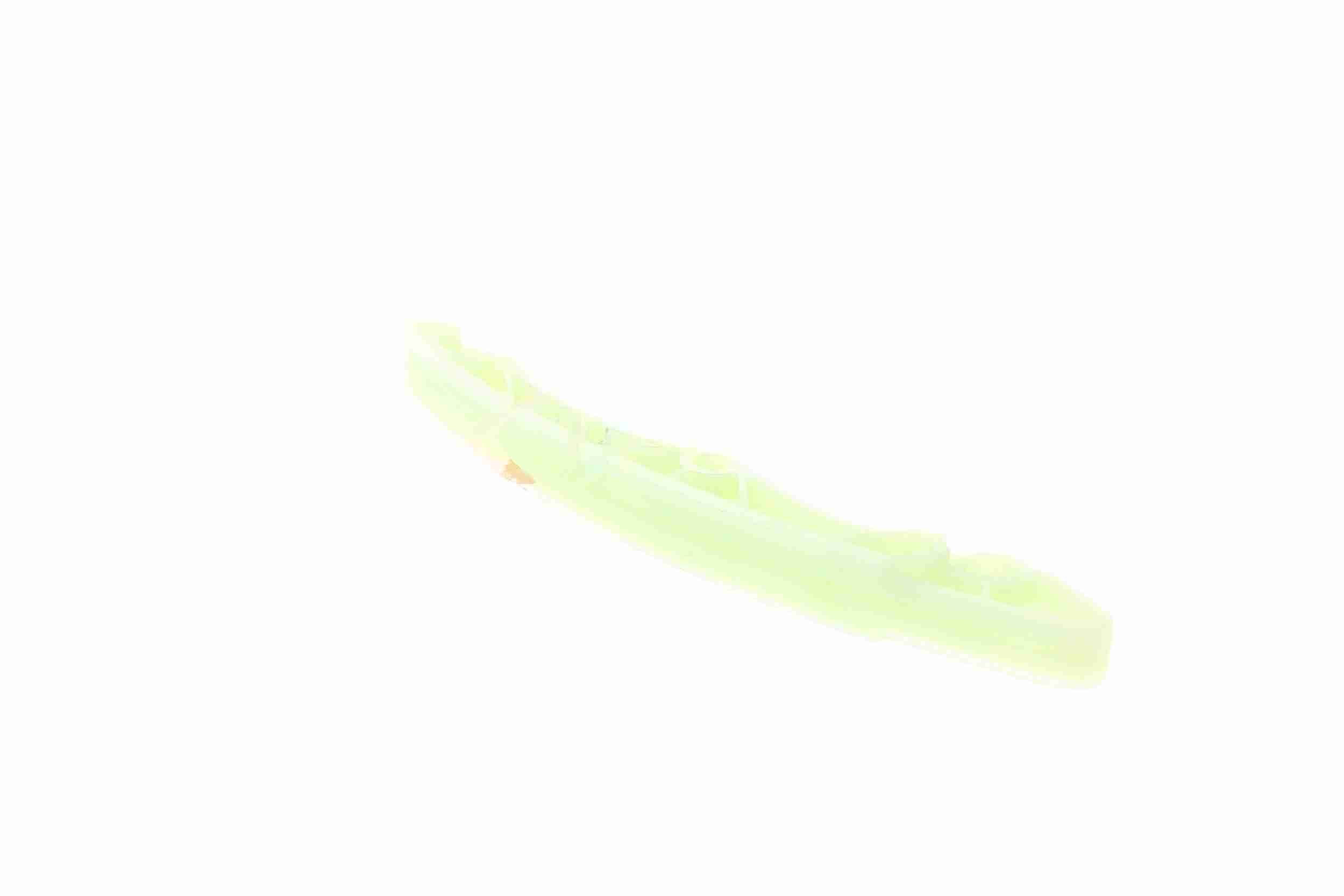 Vaico Distributieketting geleiderailvoering V30-2846