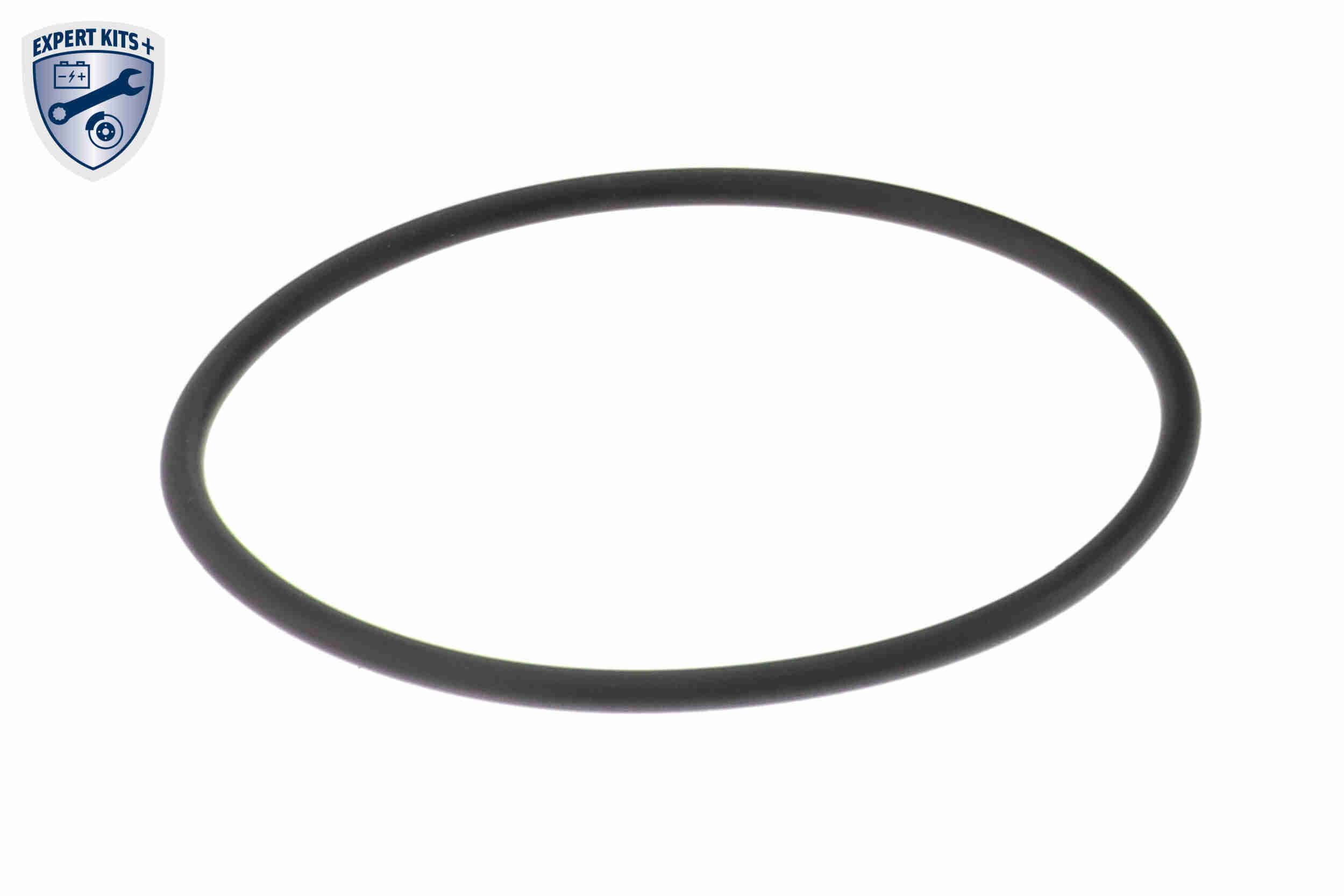 Vaico Inlaatspruitstuk module V30-3720