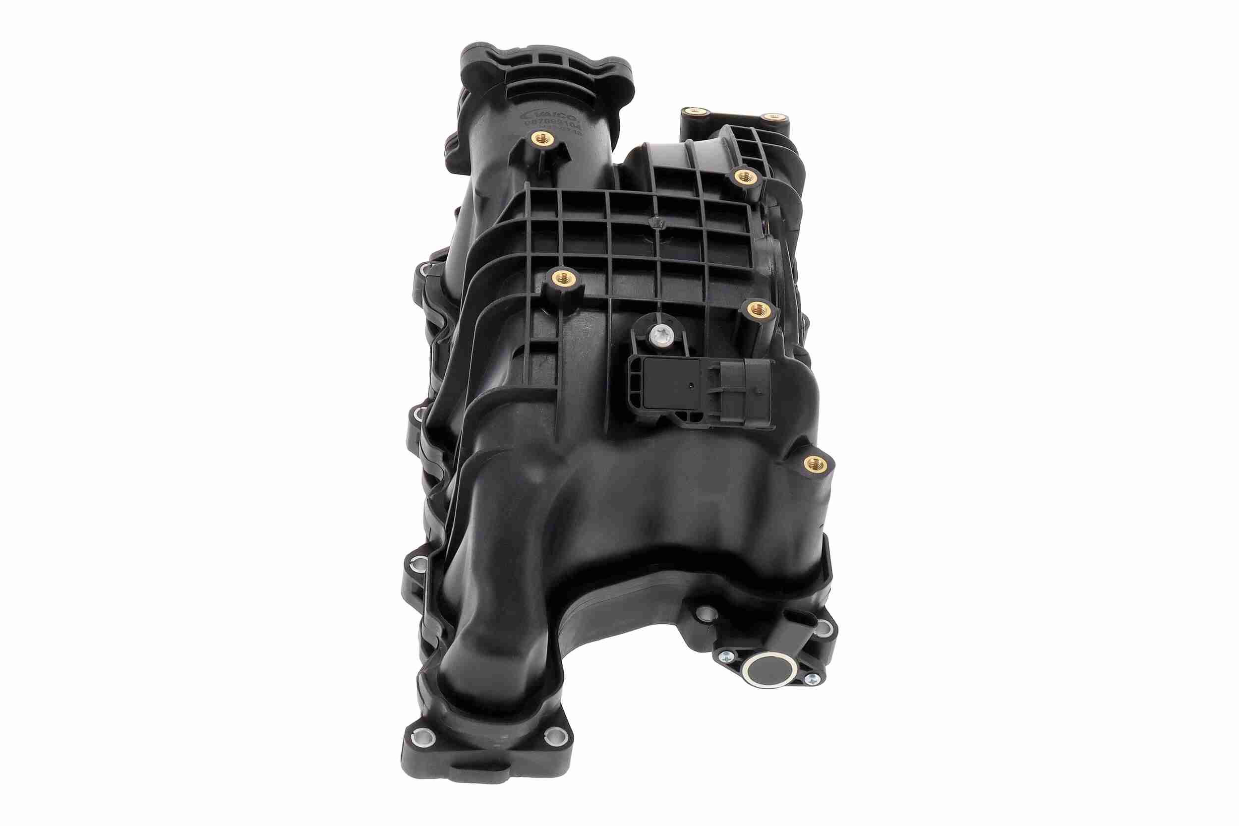 Vaico Zuigbuismodule V33-0748