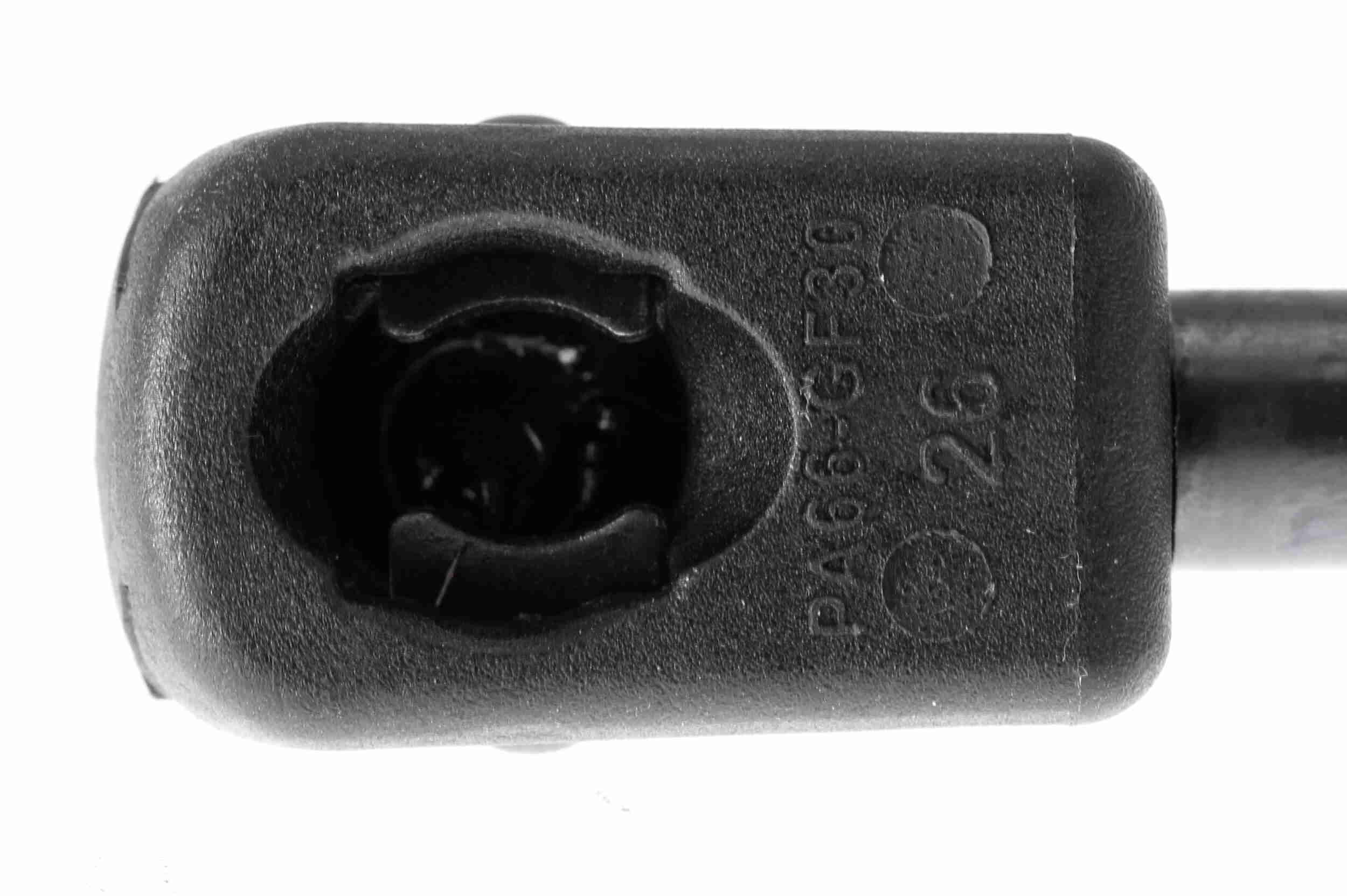 Vaico Gasveer, kofferruimte V40-0597