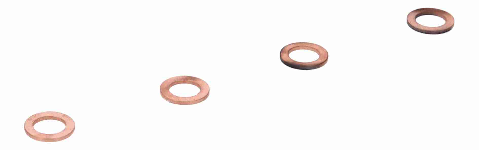 Vaico Remslang V40-4118