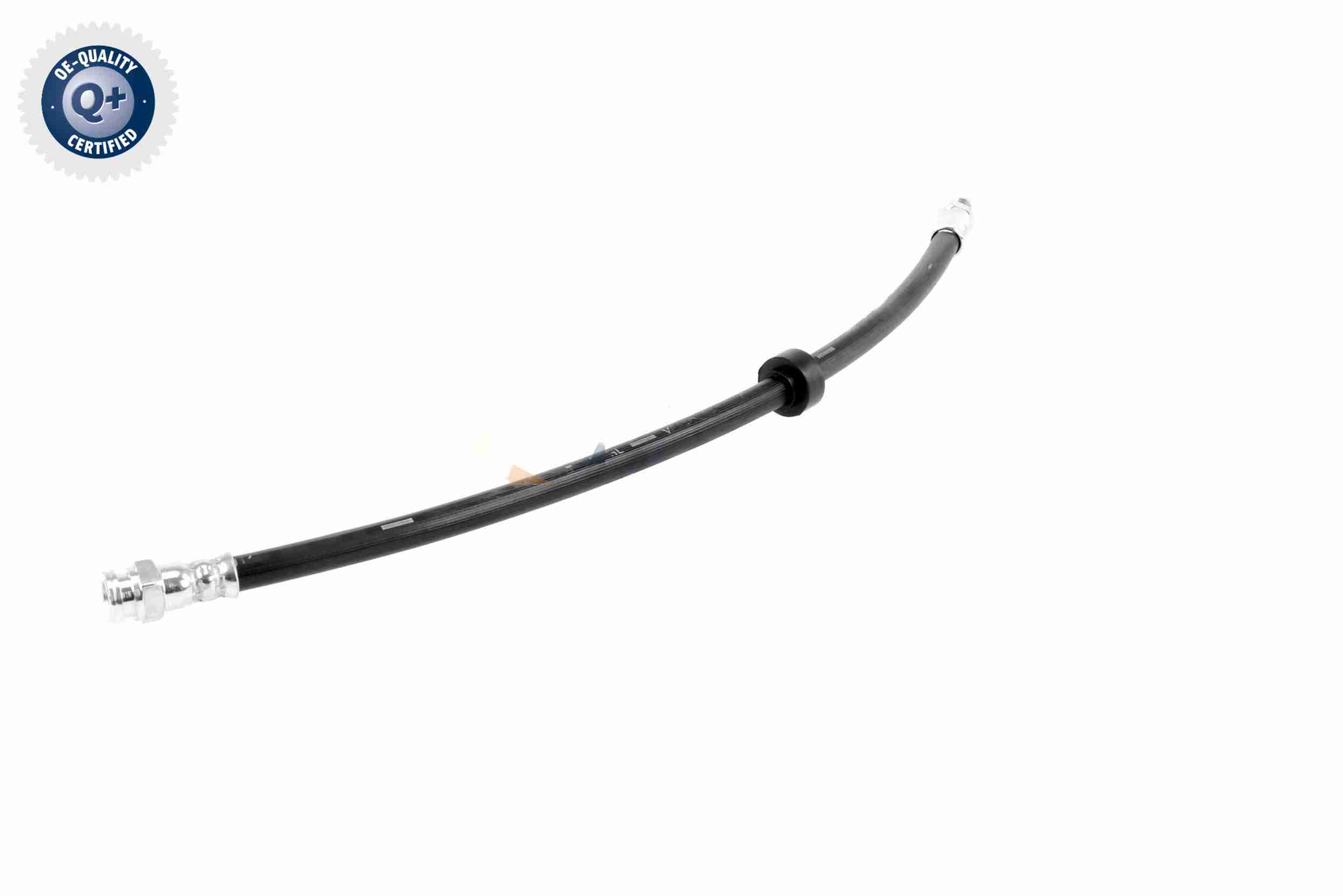 Vaico Remslang V42-0160