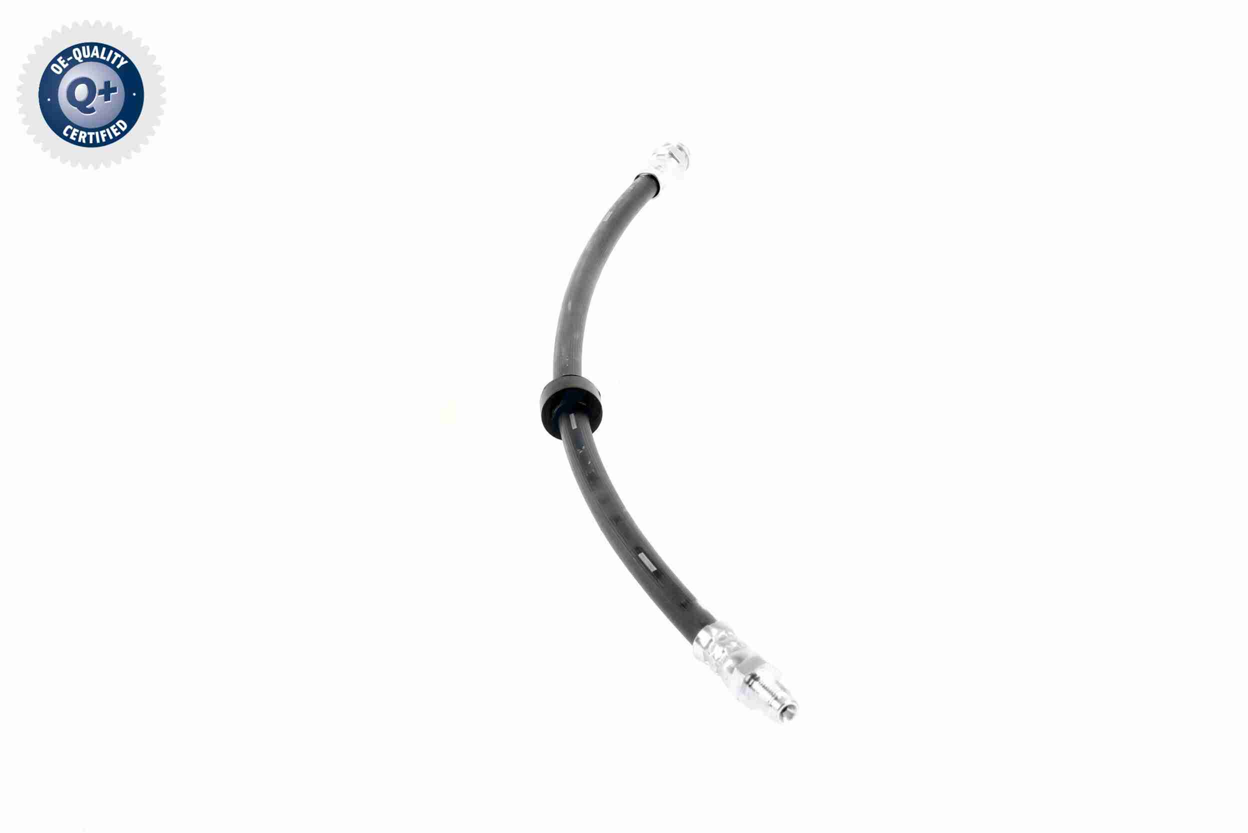 Vaico Remslang V42-0160