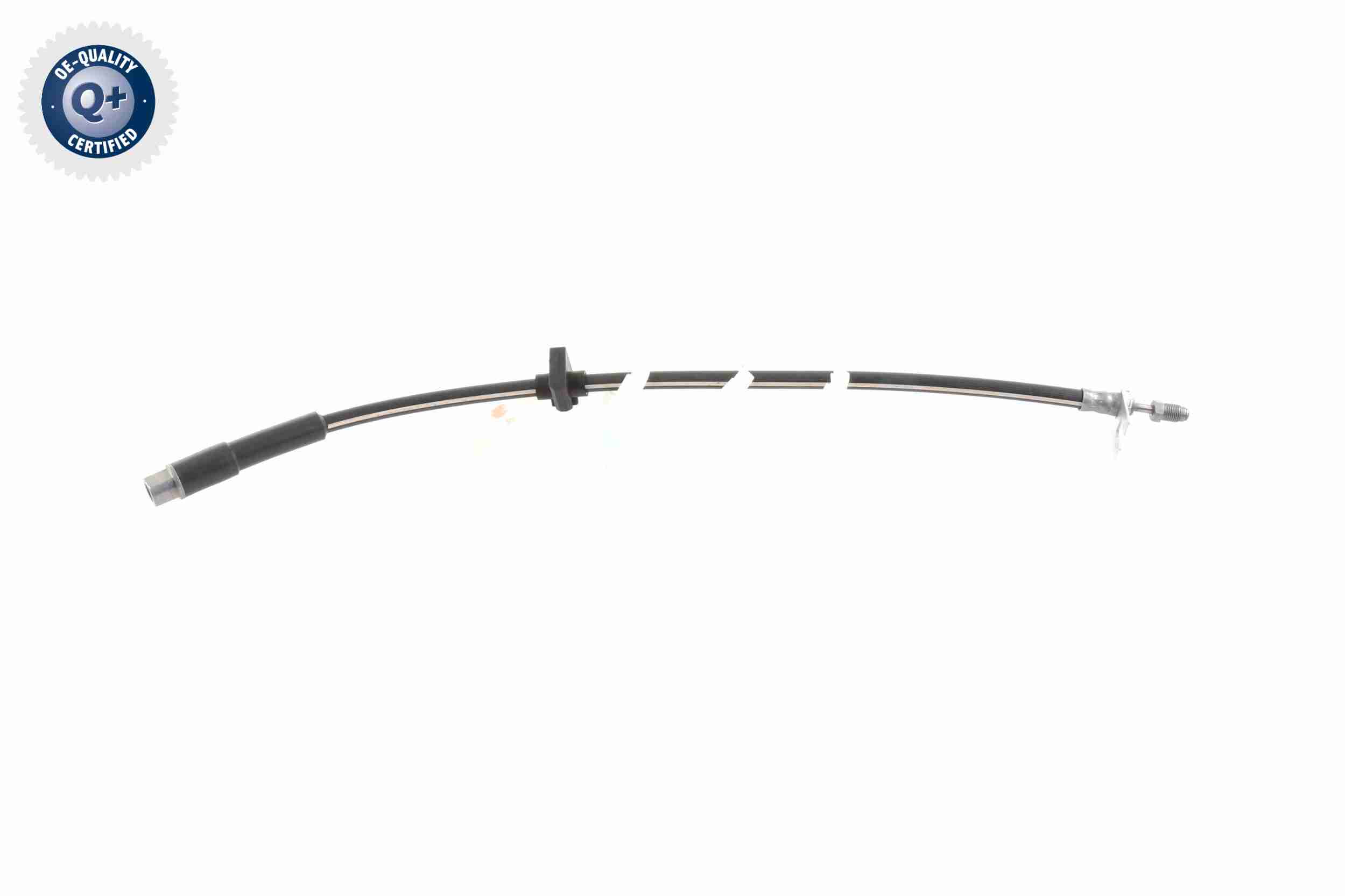 Vaico Remslang V42-0168