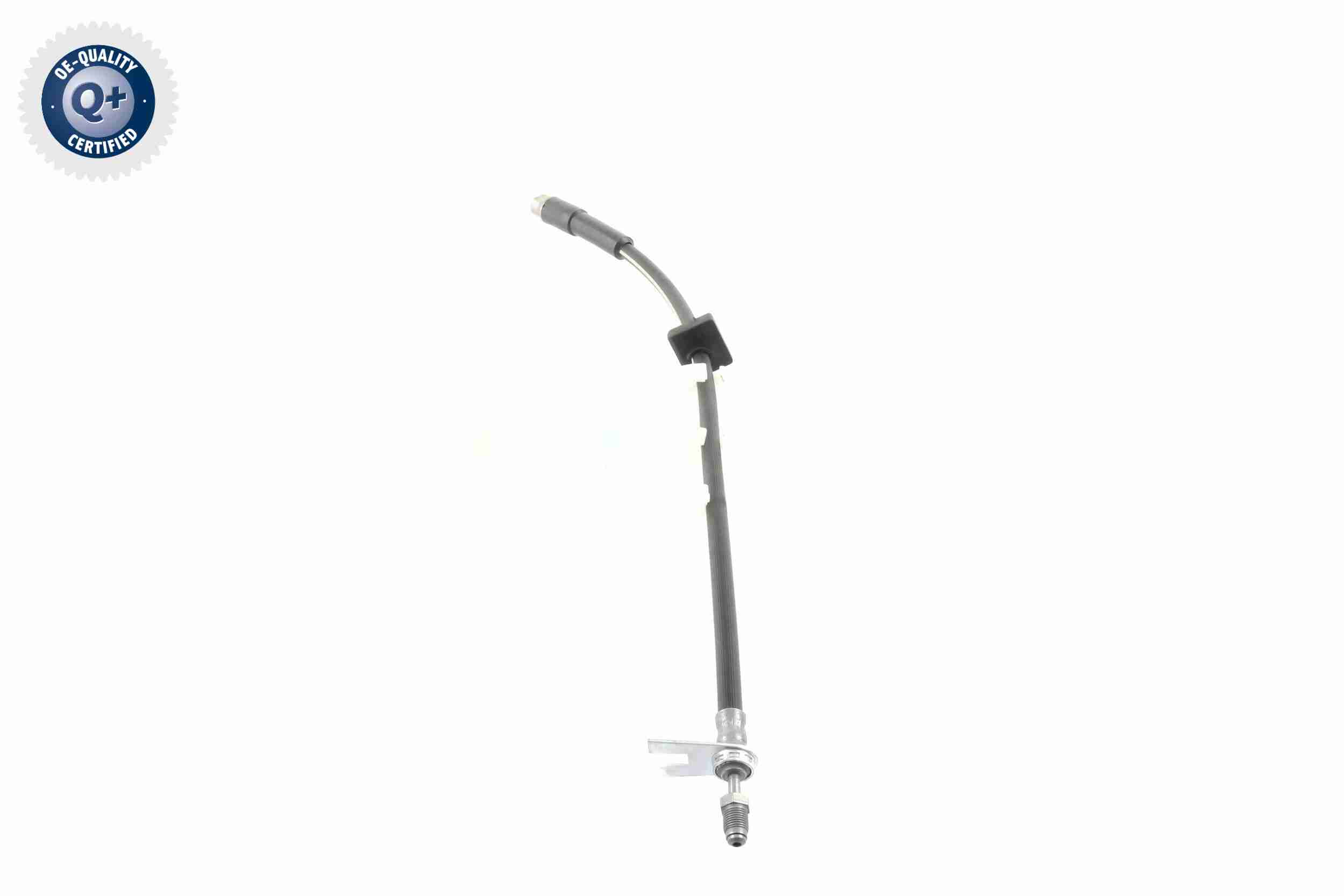 Vaico Remslang V42-0168