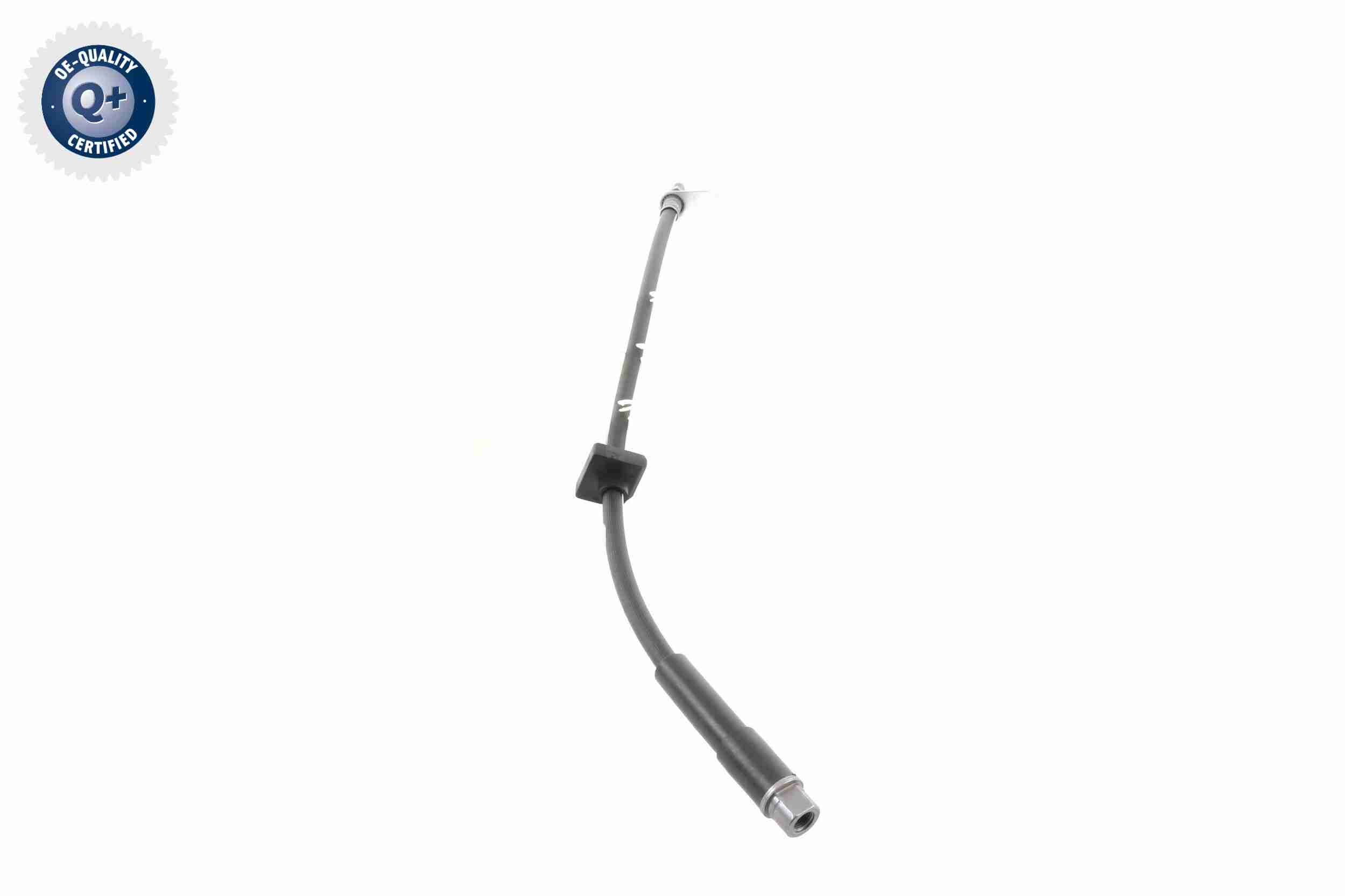 Vaico Remslang V42-0168