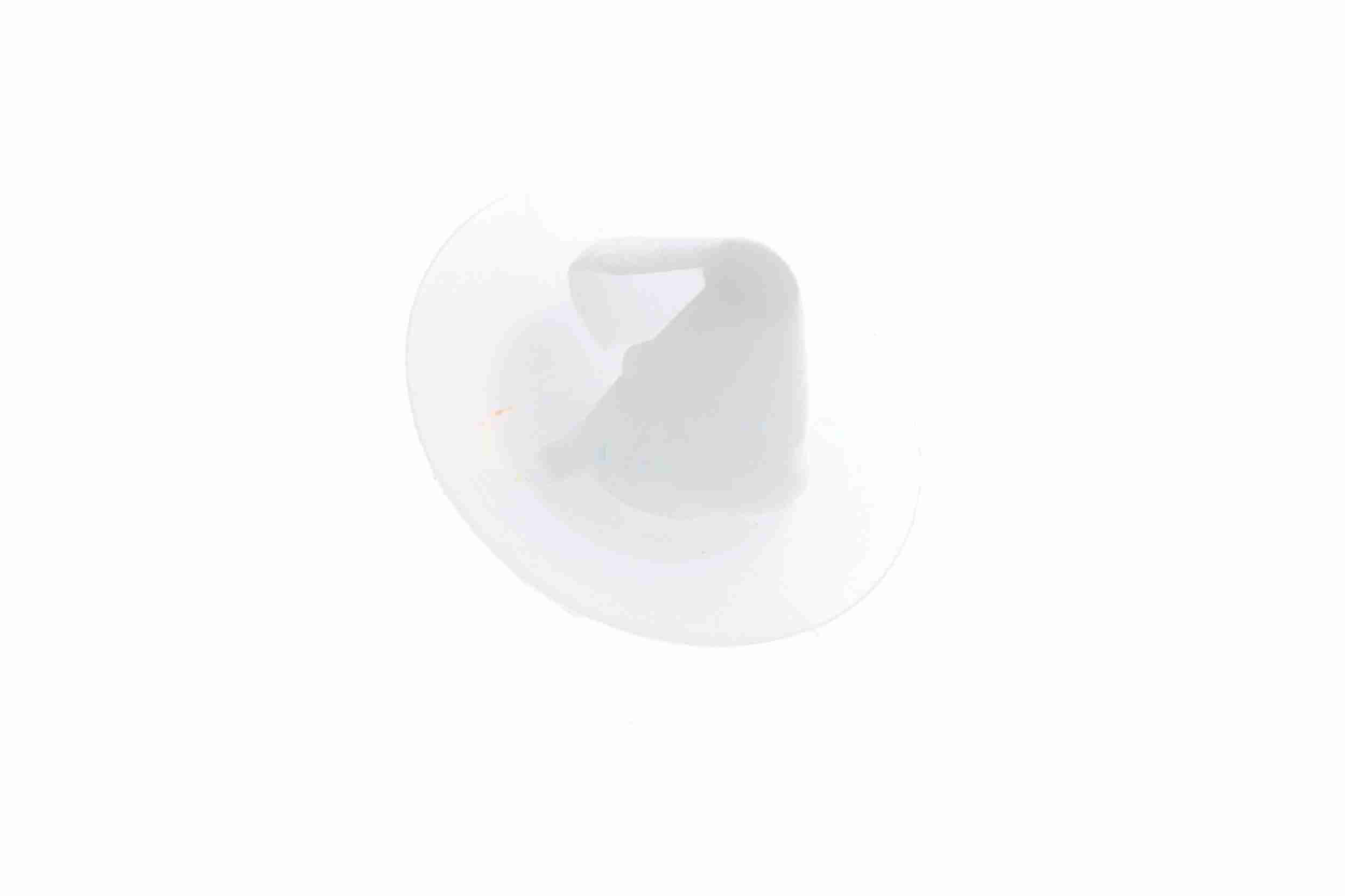 Vaico Bevestigingsclip voor sier- en beschermingslijst V42-0381