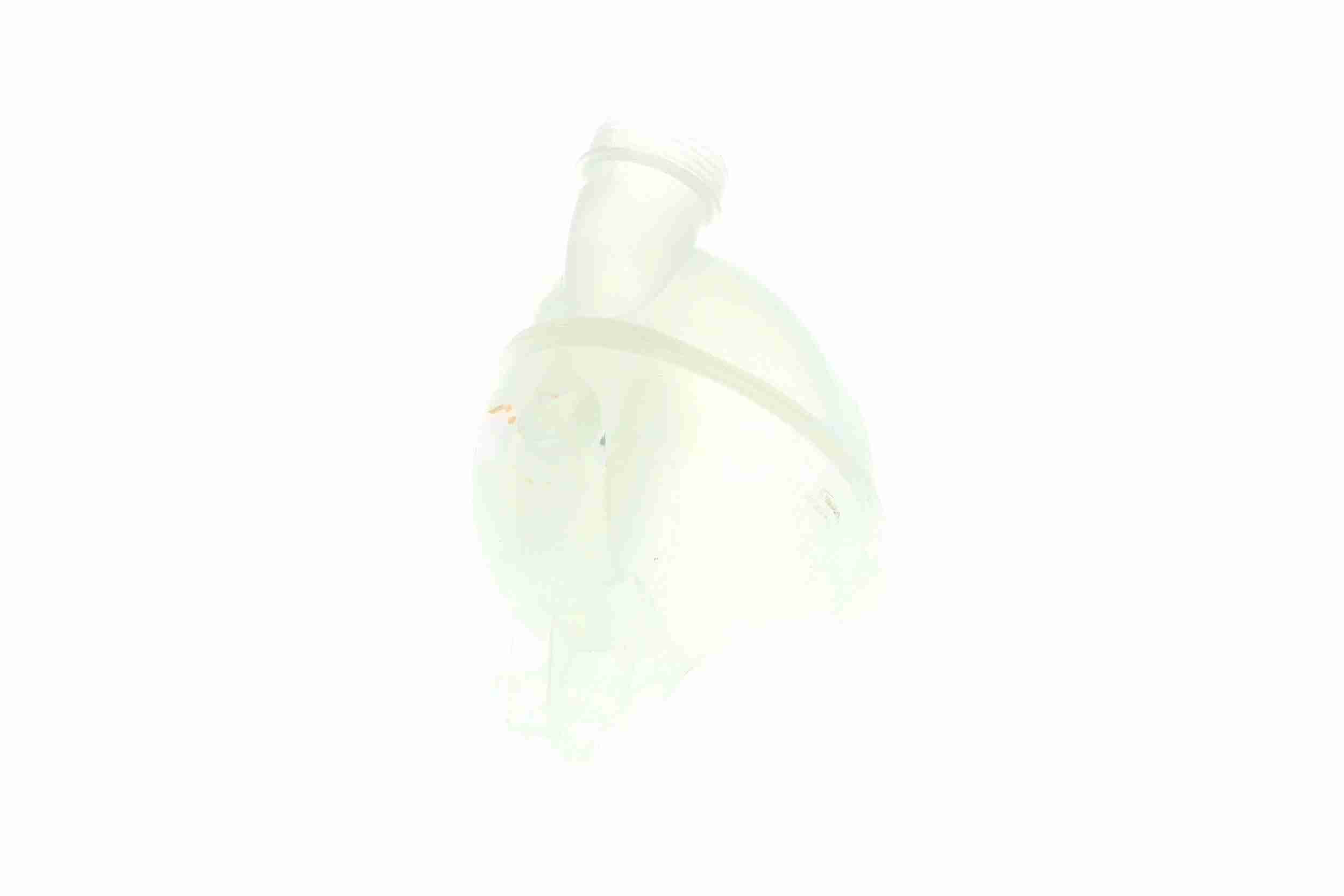 Vaico Expansievat V42-0436