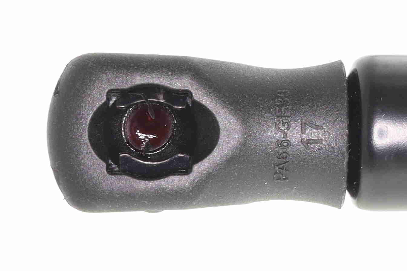 Vaico Gasveer, motorkap V45-0089