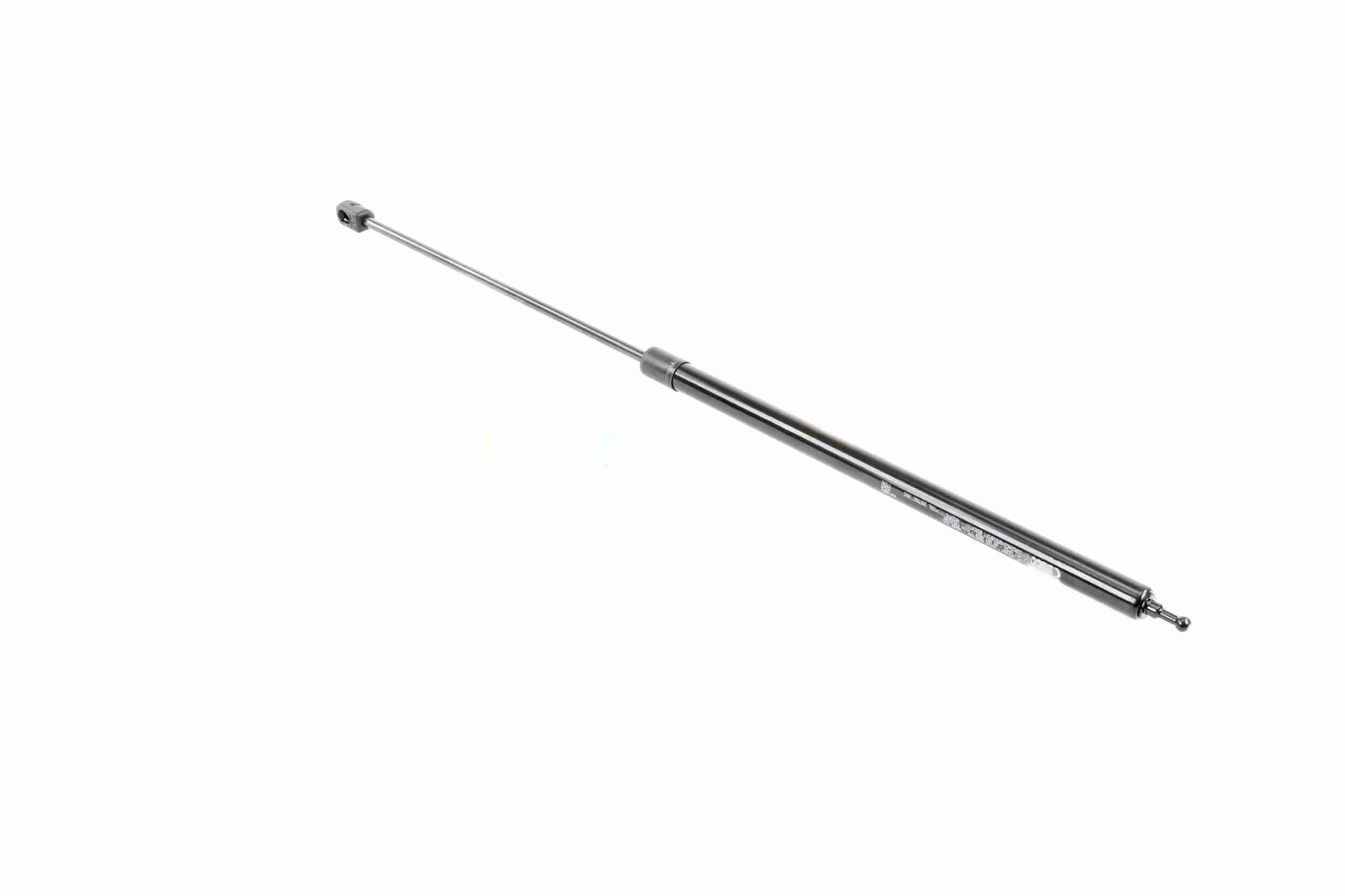 Vaico Gasveer, motorkap V46-0858