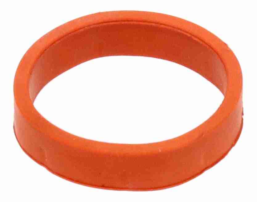 Vaico Actief koolstoffilter, tank ontluchting V48-0577