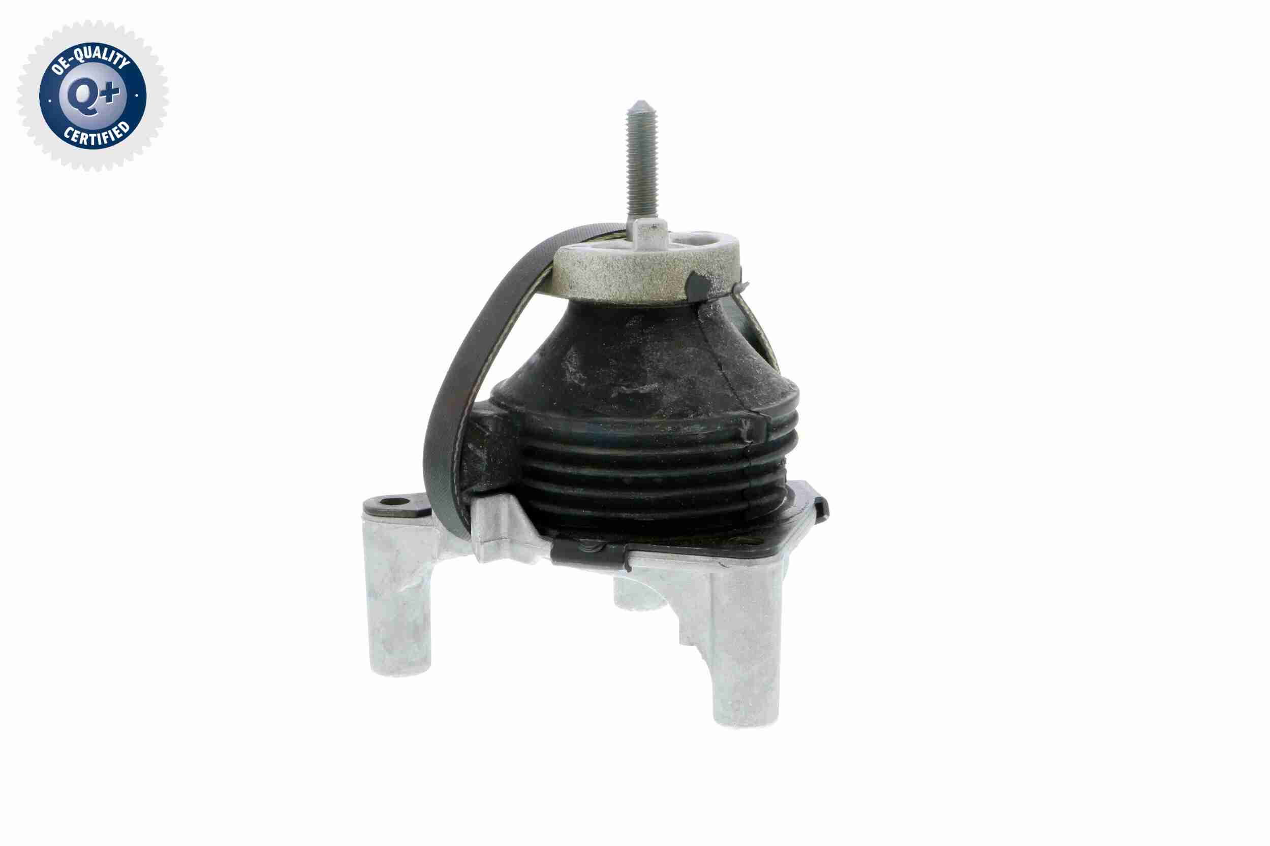 Vaico Motorsteun V50-0031